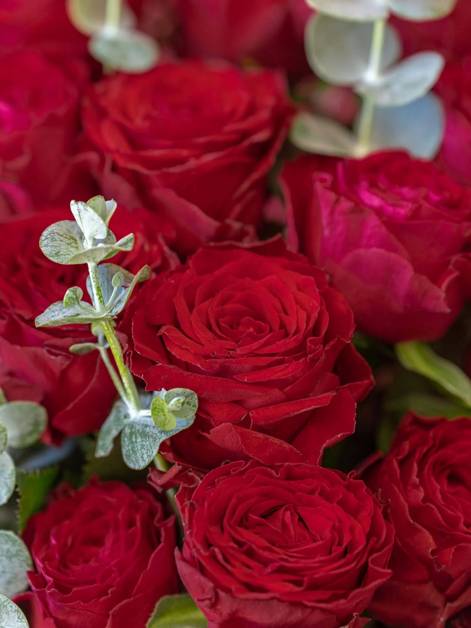 バラの花束 30本 - レッド - - Image 11