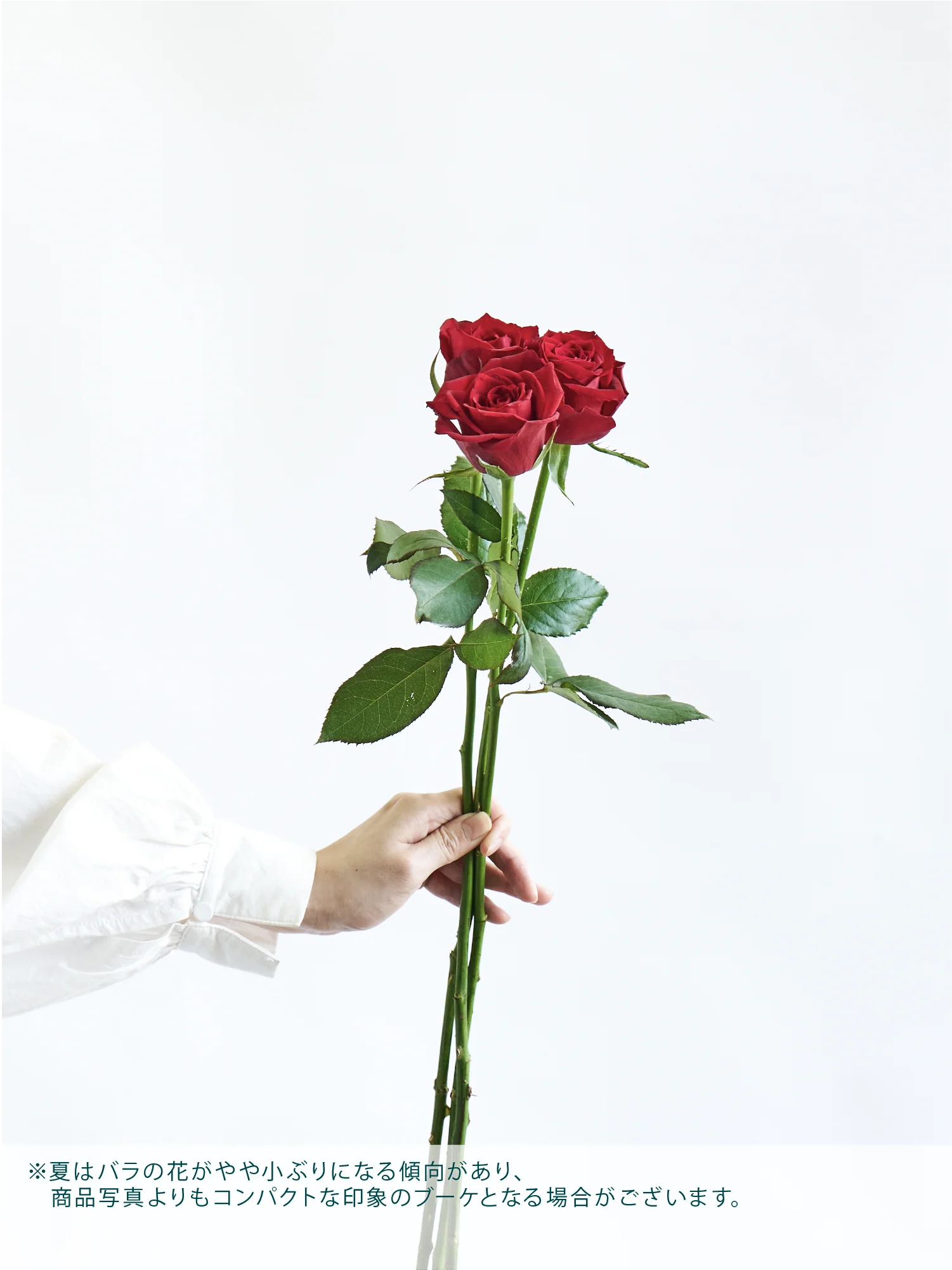 バラの花束 12本 - レッド＆ピンク - - Image 12