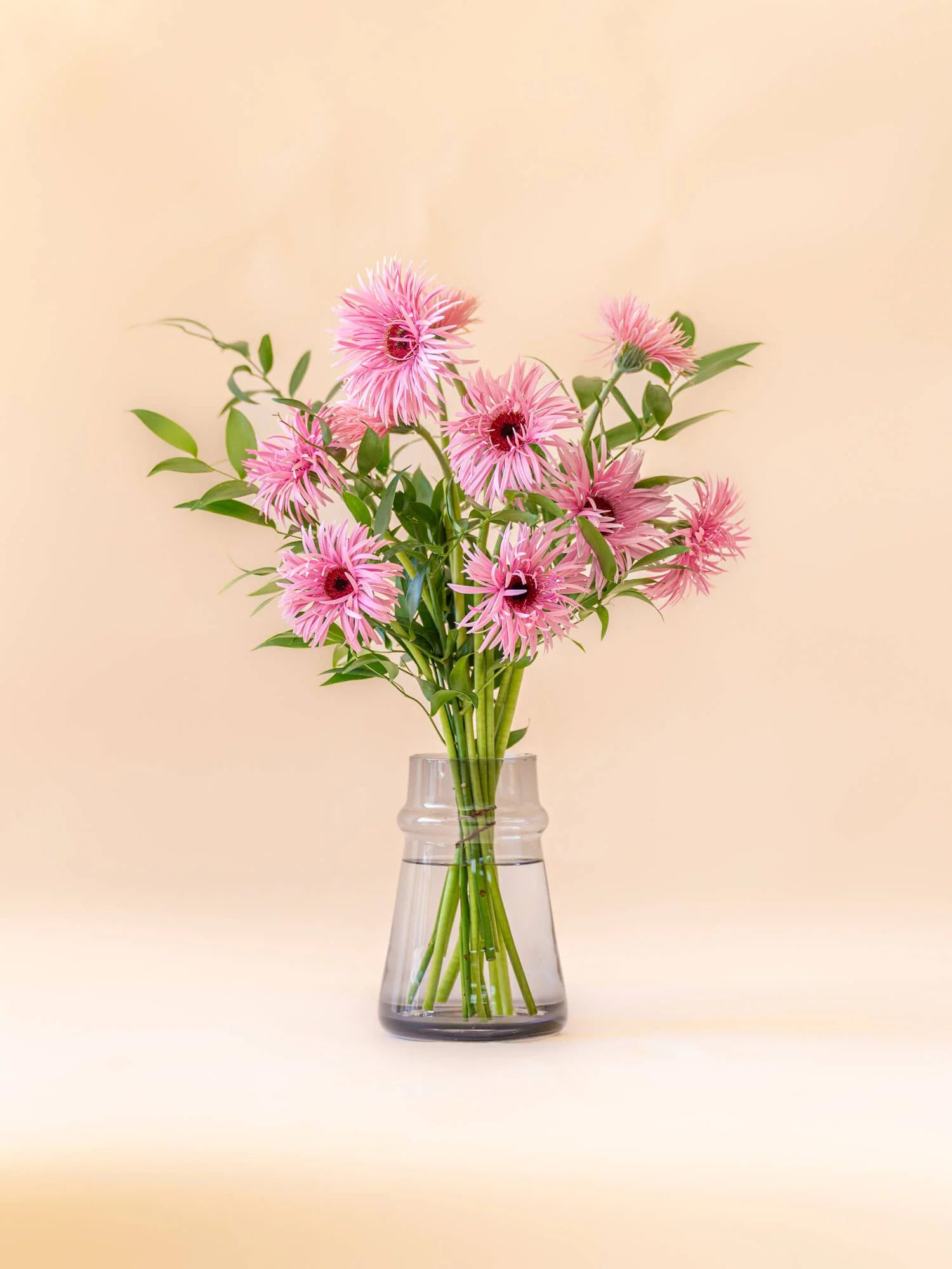 ガーベラの花束 10本 - ピンク - - Image 11