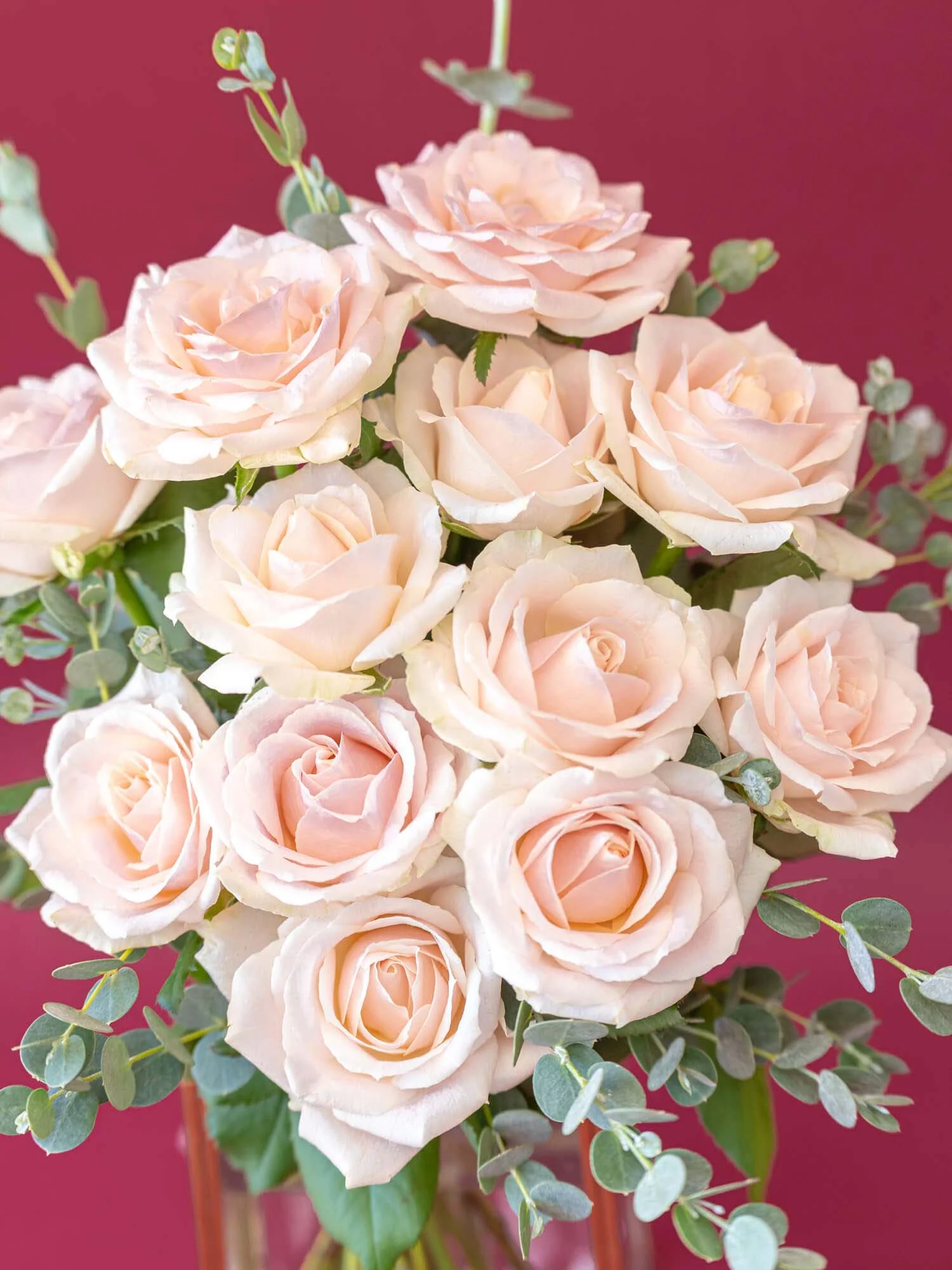 【誕生日ギフト】バラの花束 12本 - ピンク - - Image 11