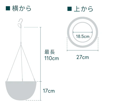 エスキナンサス・ボレロ -ハンギング- - Image 17