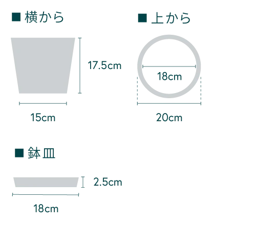 アンドプランツ植え替えセット M - Image 9