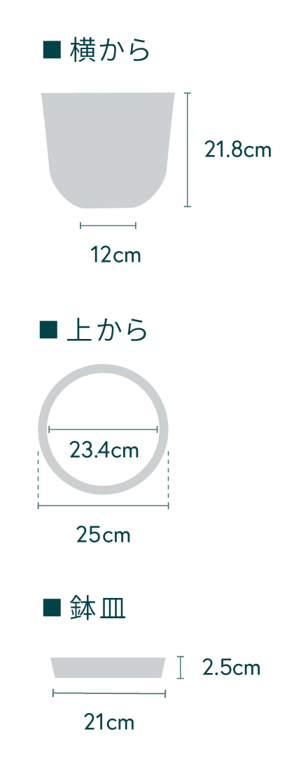 クルシア・ロゼア・プリンセス M - Image 16