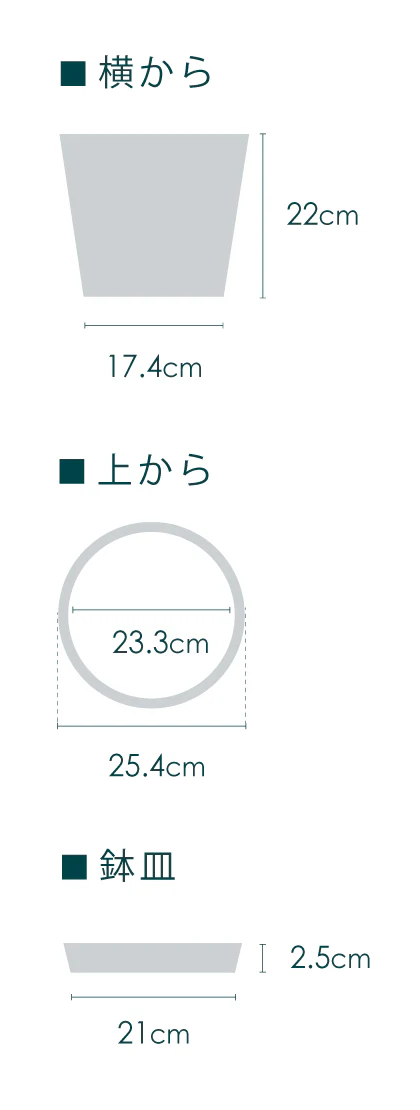 クルシア・ロゼア・プリンセス M - Image 19