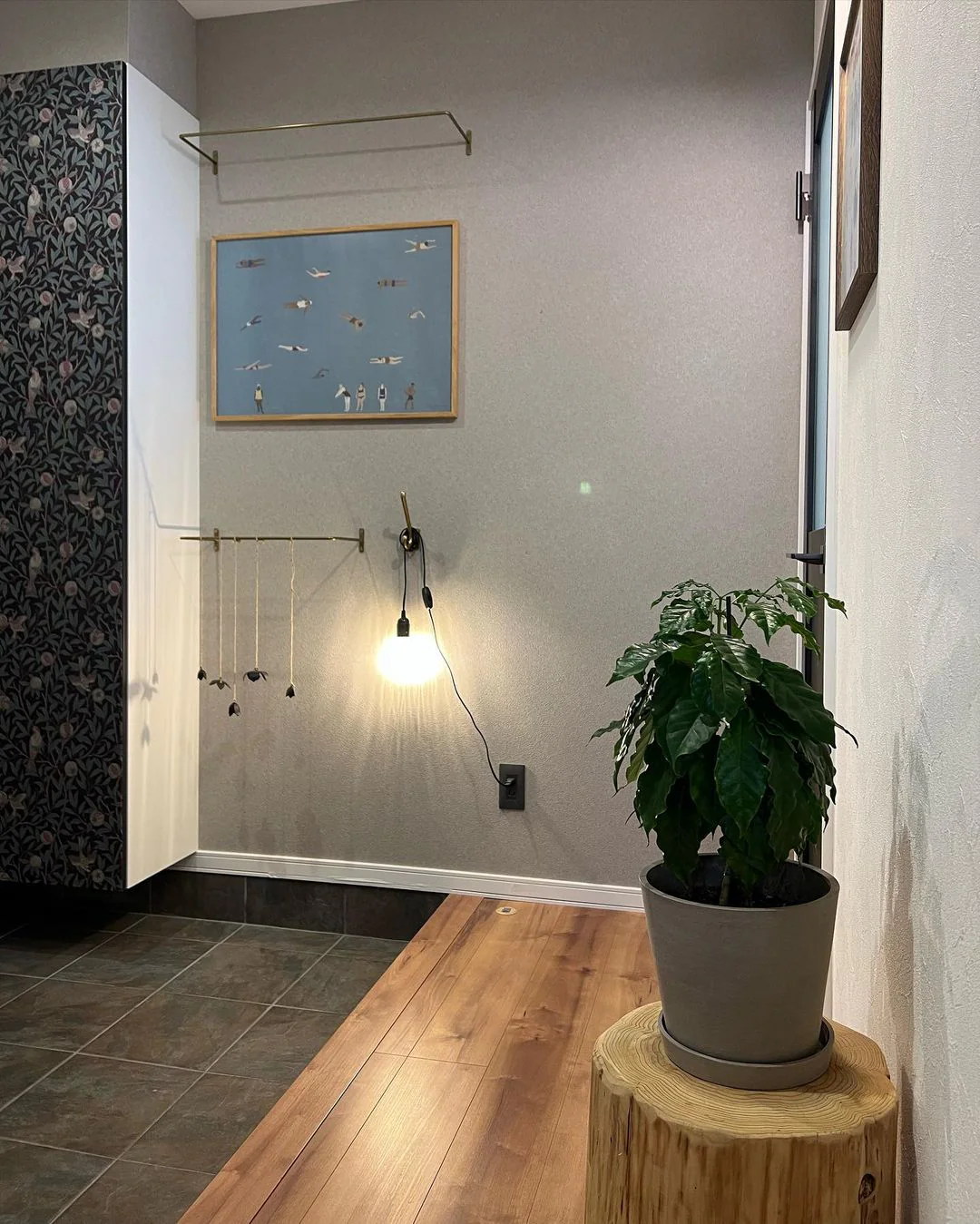 コーヒーの木 S - Image 28