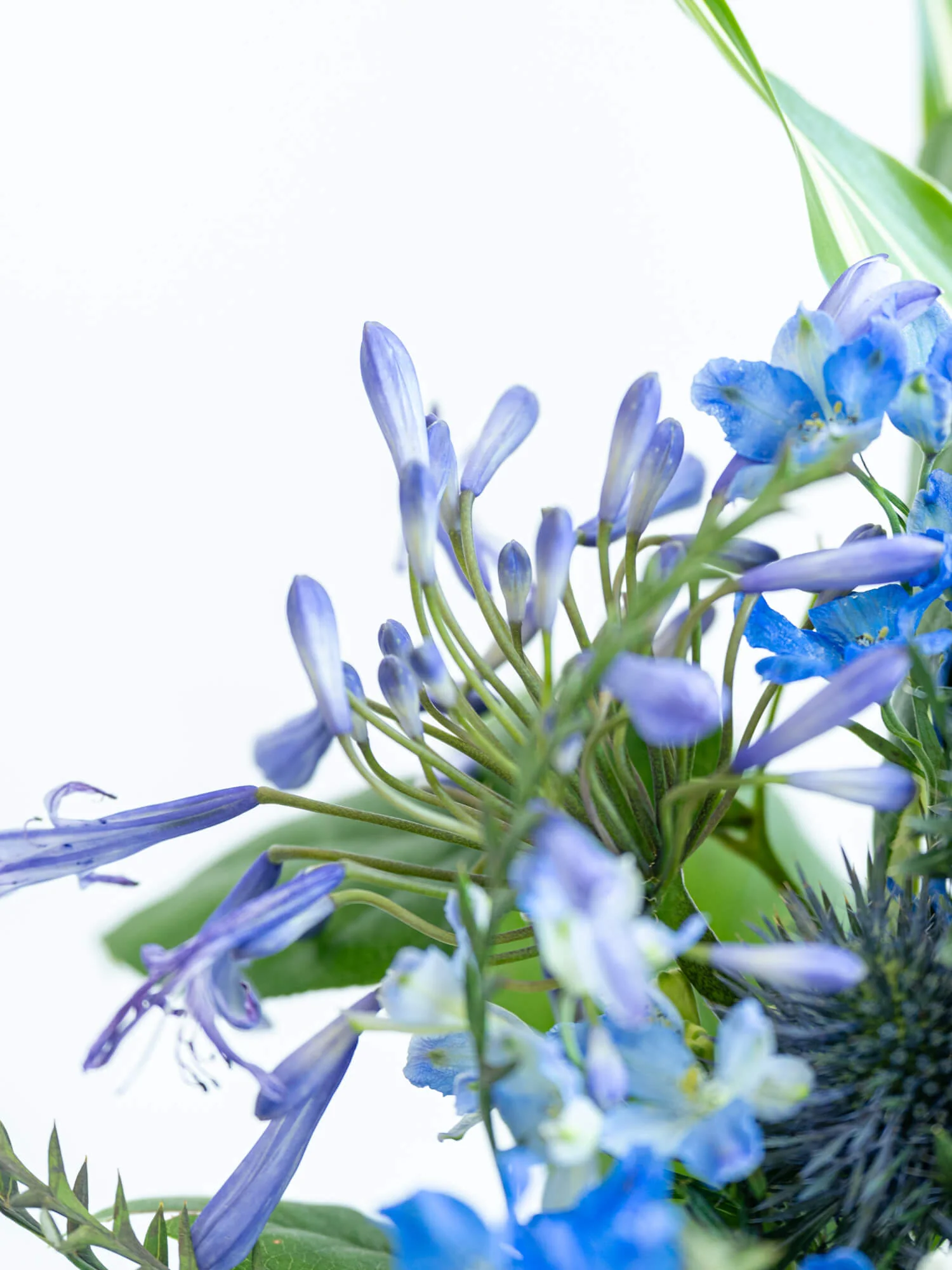 フローリストにおまかせ 季節の花束 L - ブルー - - Image 14
