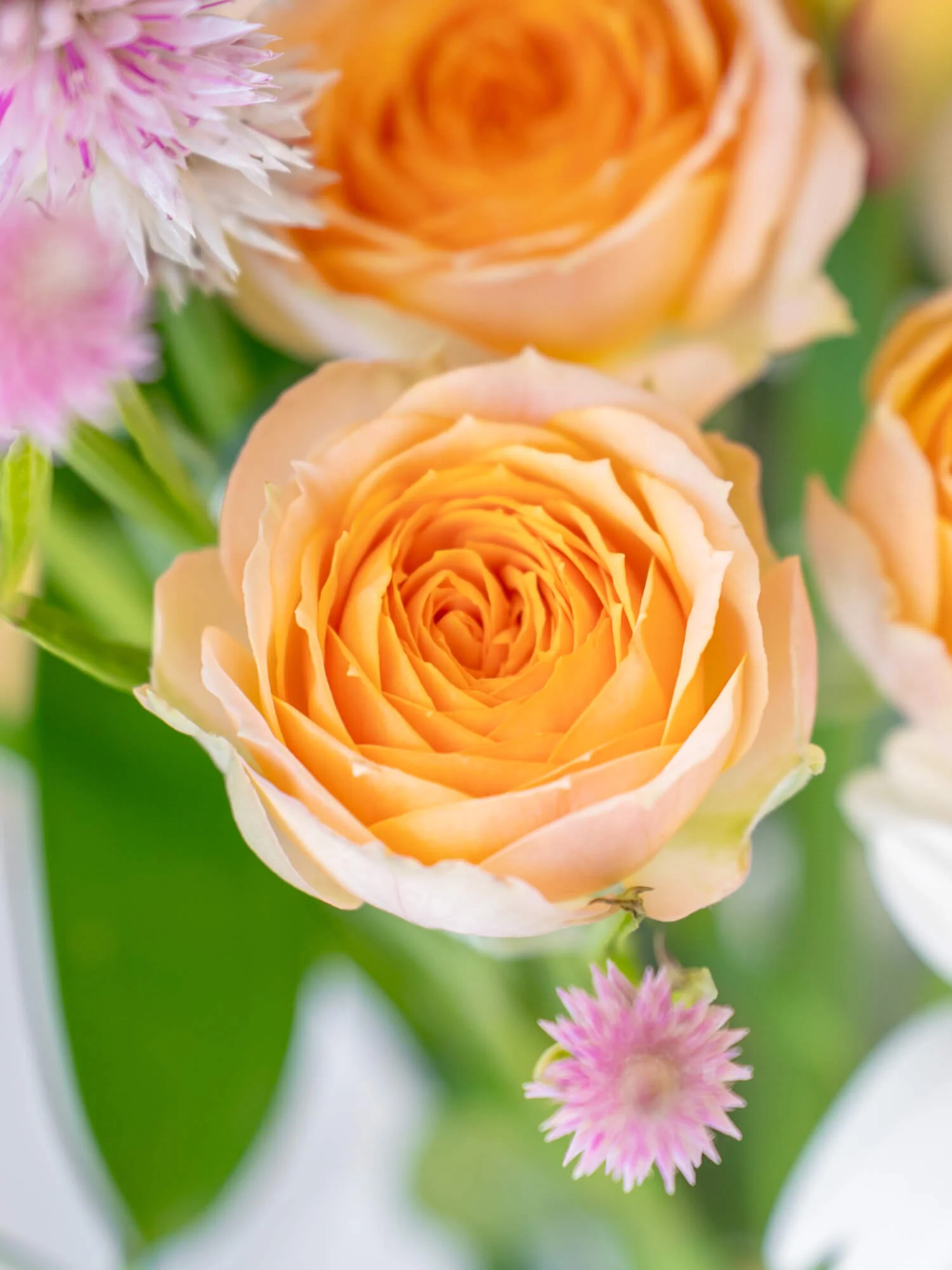 フローリストにおまかせ 季節の花束 S - ミックス - - Image 12