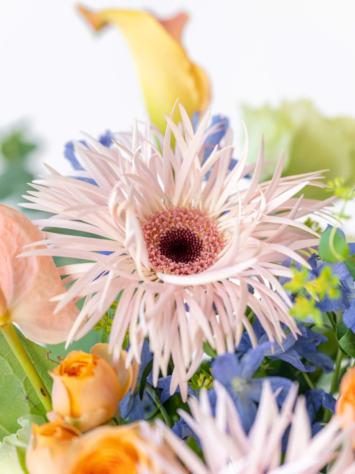 フローリストにおまかせ 季節の花束 M - ミックス - - Image 13