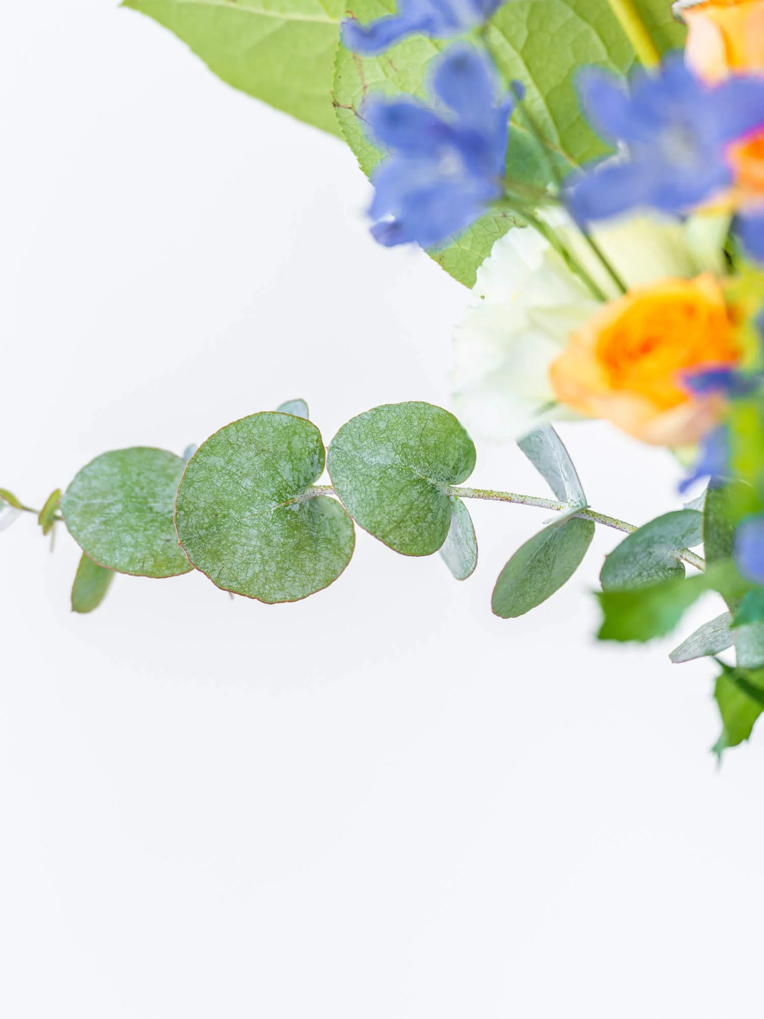 【誕生日ギフト】 フローリストにおまかせ 季節の花束 M - ミックス - - Image 16