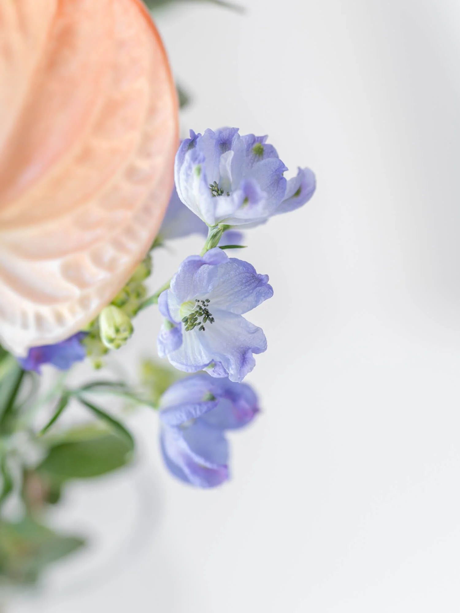 フローリストにおまかせ 季節の花束 S - ミックス - - Image 11
