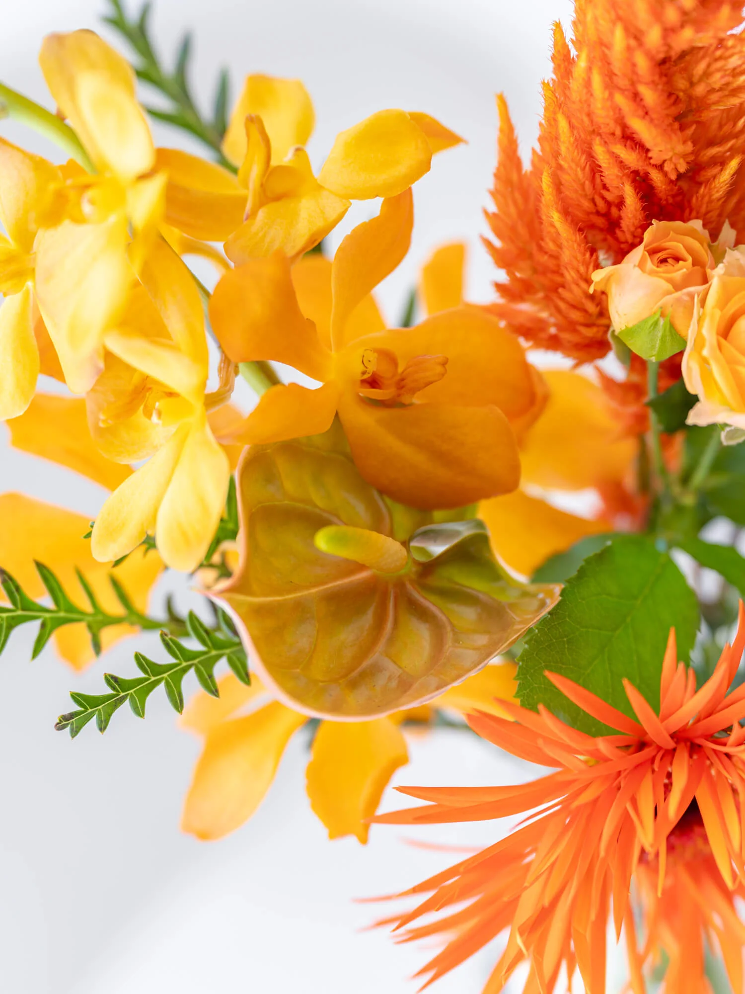 フローリストにおまかせ 季節の花束 S - オレンジ - - Image 11