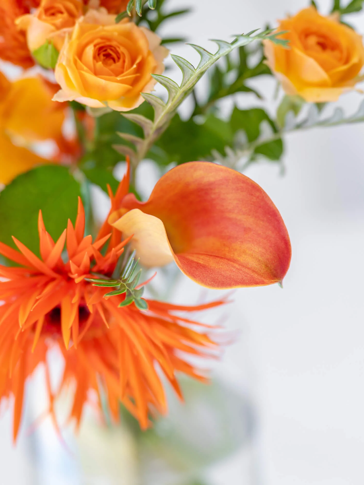 フローリストにおまかせ 季節の花束 S - オレンジ - - Image 16