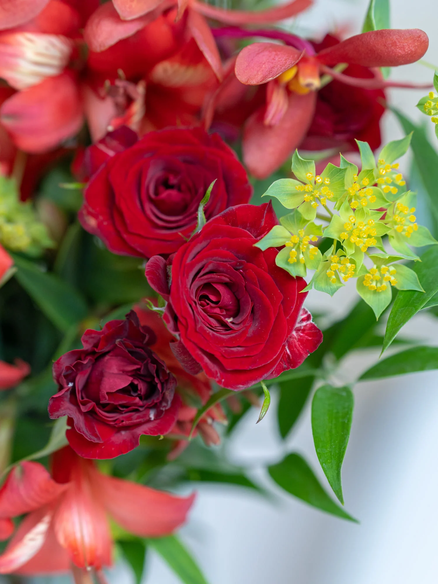 フローリストにおまかせ 季節の花束 M - レッド - - Image 9