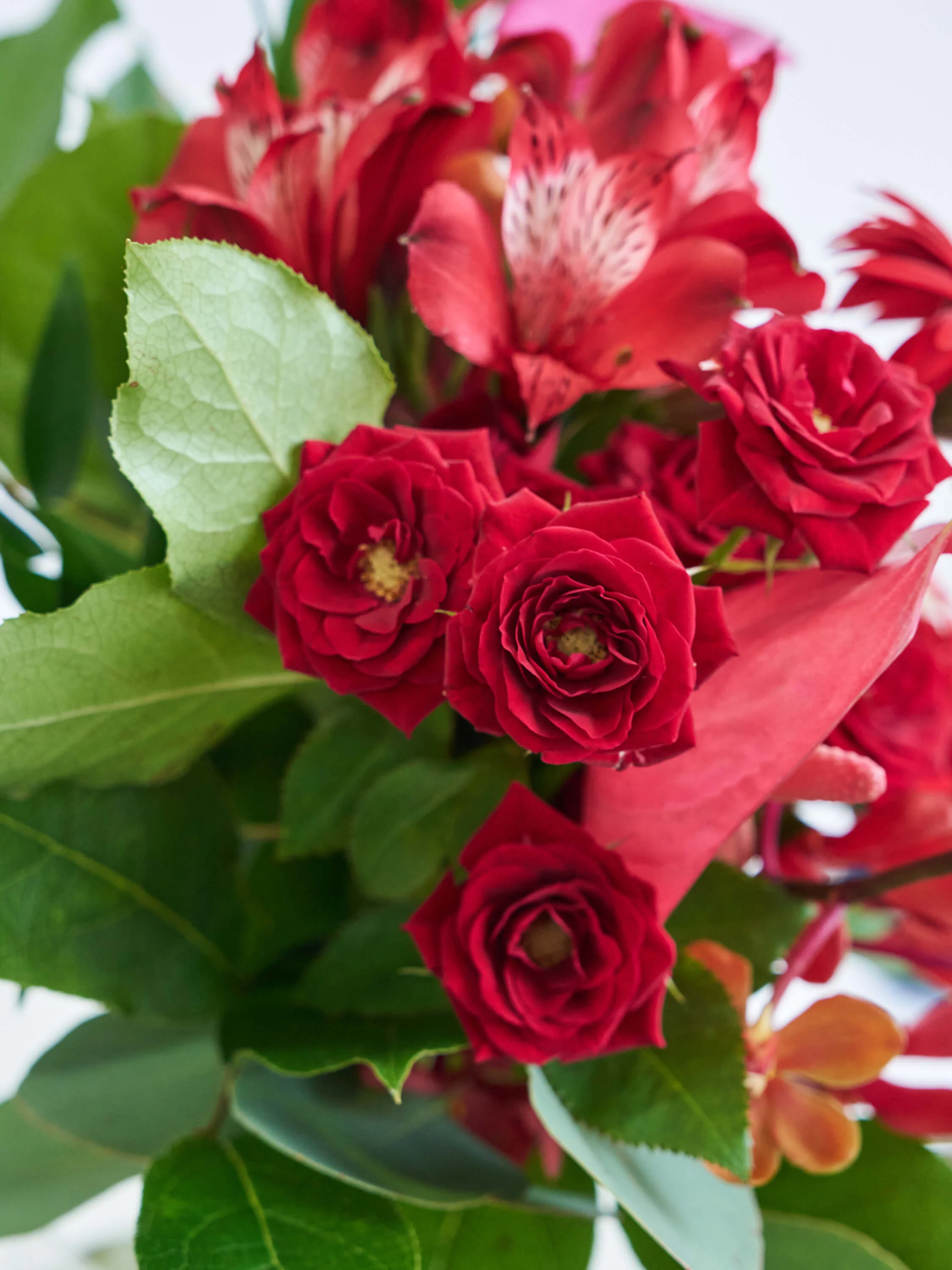 フローリストにおまかせ 季節の花束 M - レッド - - Image 5