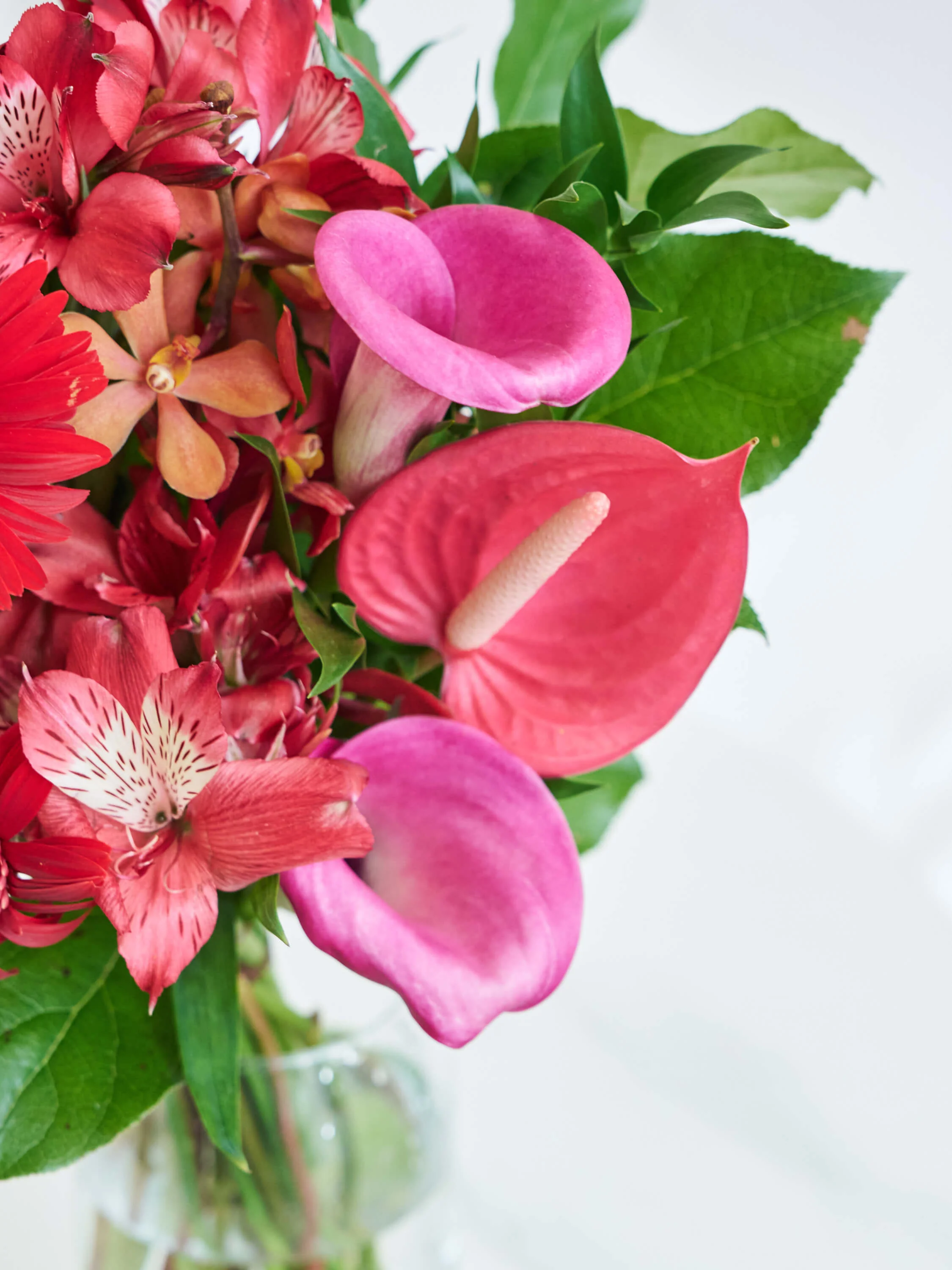 フローリストにおまかせ 季節の花束 M - レッド - - Image 6