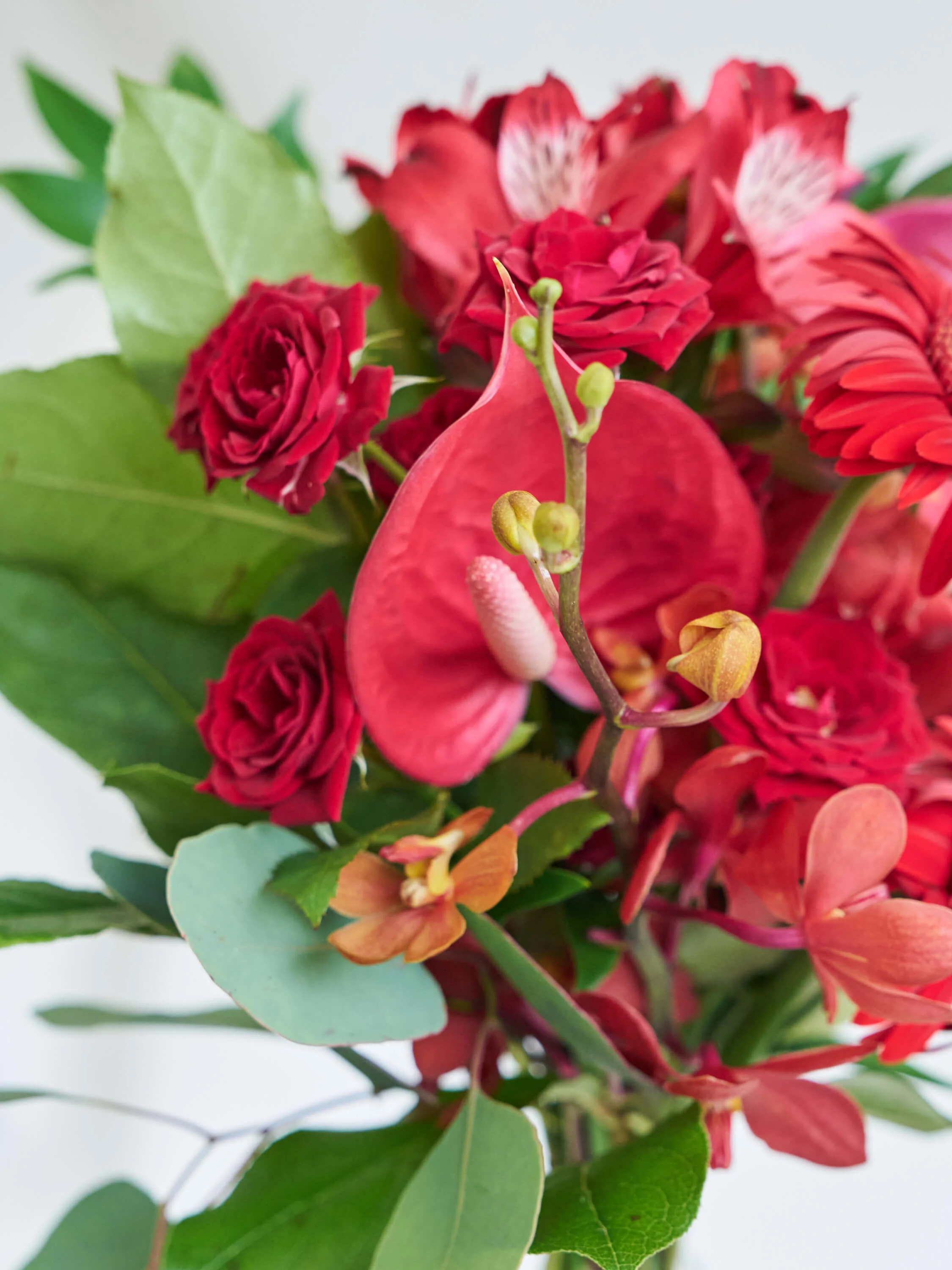 フローリストにおまかせ 季節の花束 M - レッド - - Image 7
