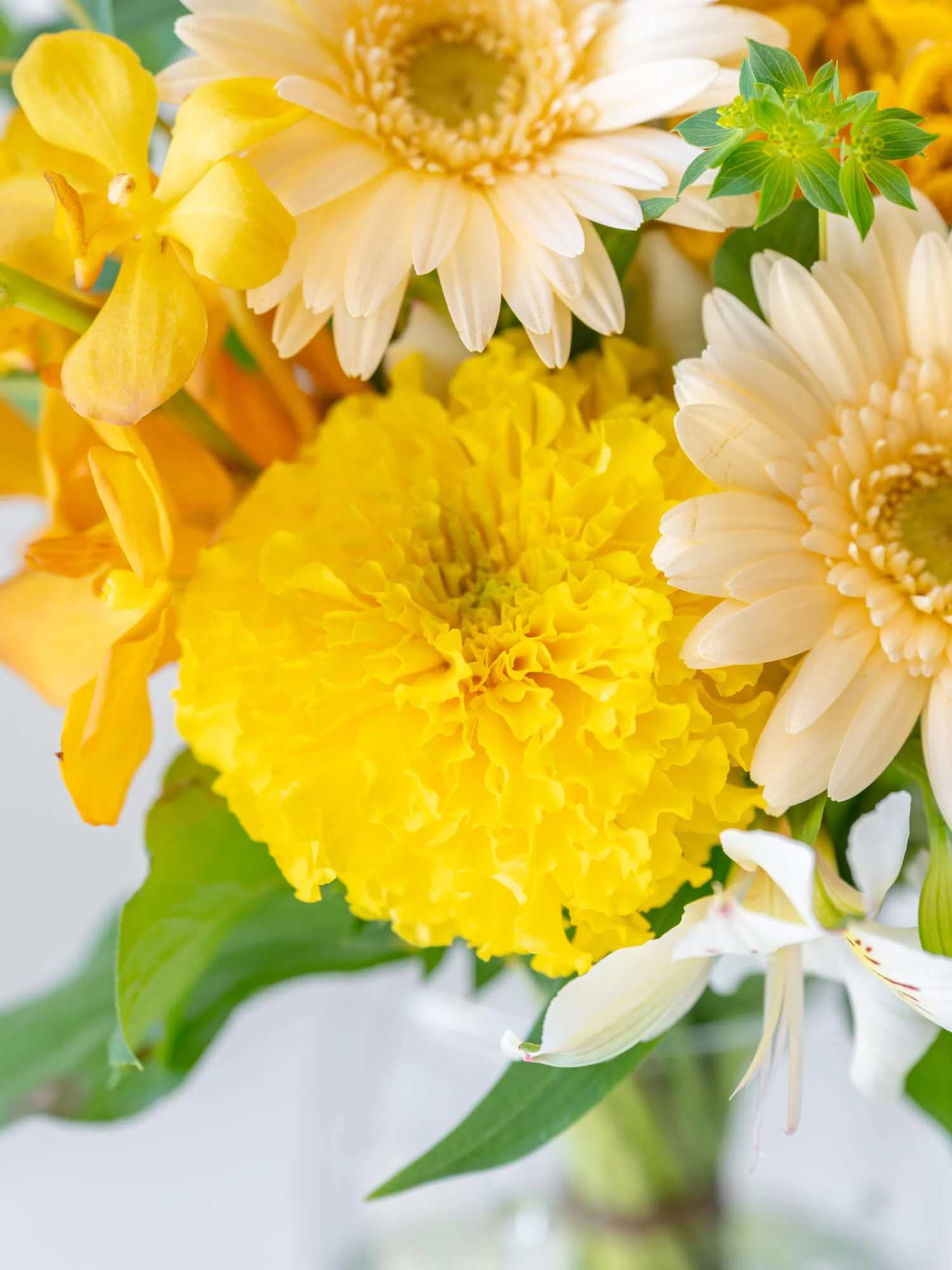 フローリストにおまかせ 季節の花束 M - イエロー - - Image 10