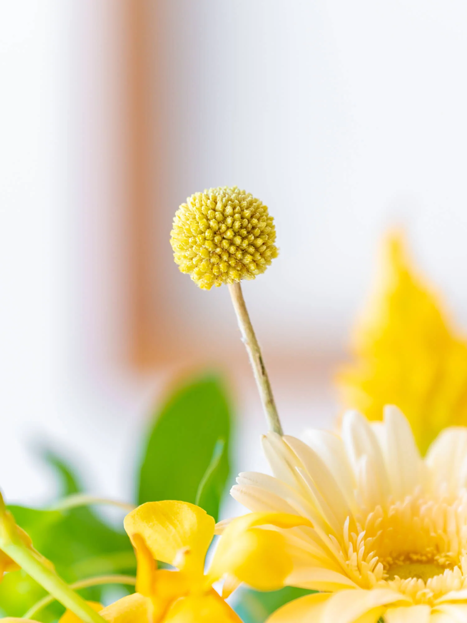 フローリストにおまかせ 季節の花束 M - イエロー - - Image 12