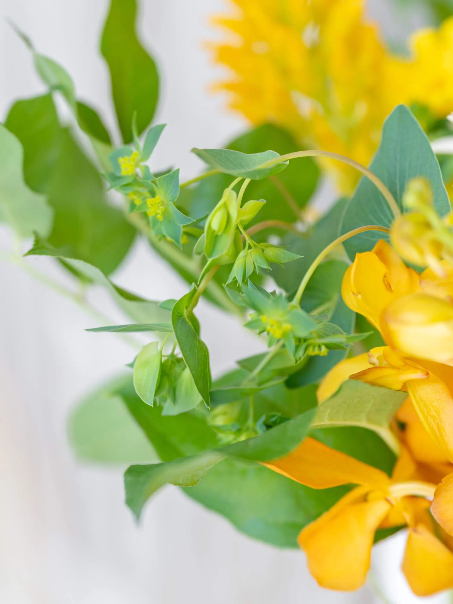 フローリストにおまかせ 季節の花束 M - イエロー - - Image 17