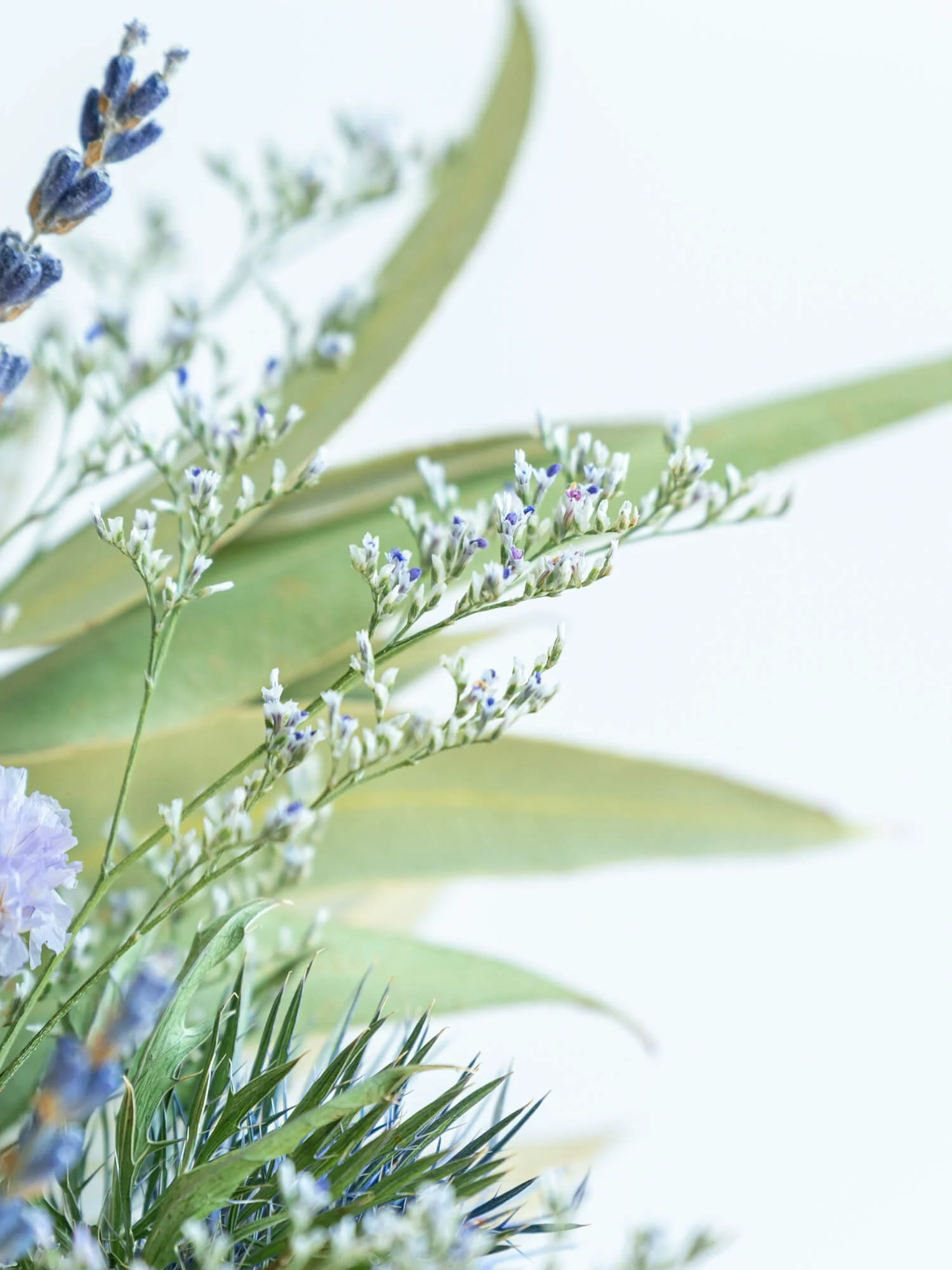【花瓶に飾れる】ドライフラワーの花束 M - ブルー - - Image 9