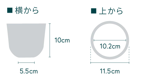 パンダガジュマル Table-S - Image 21