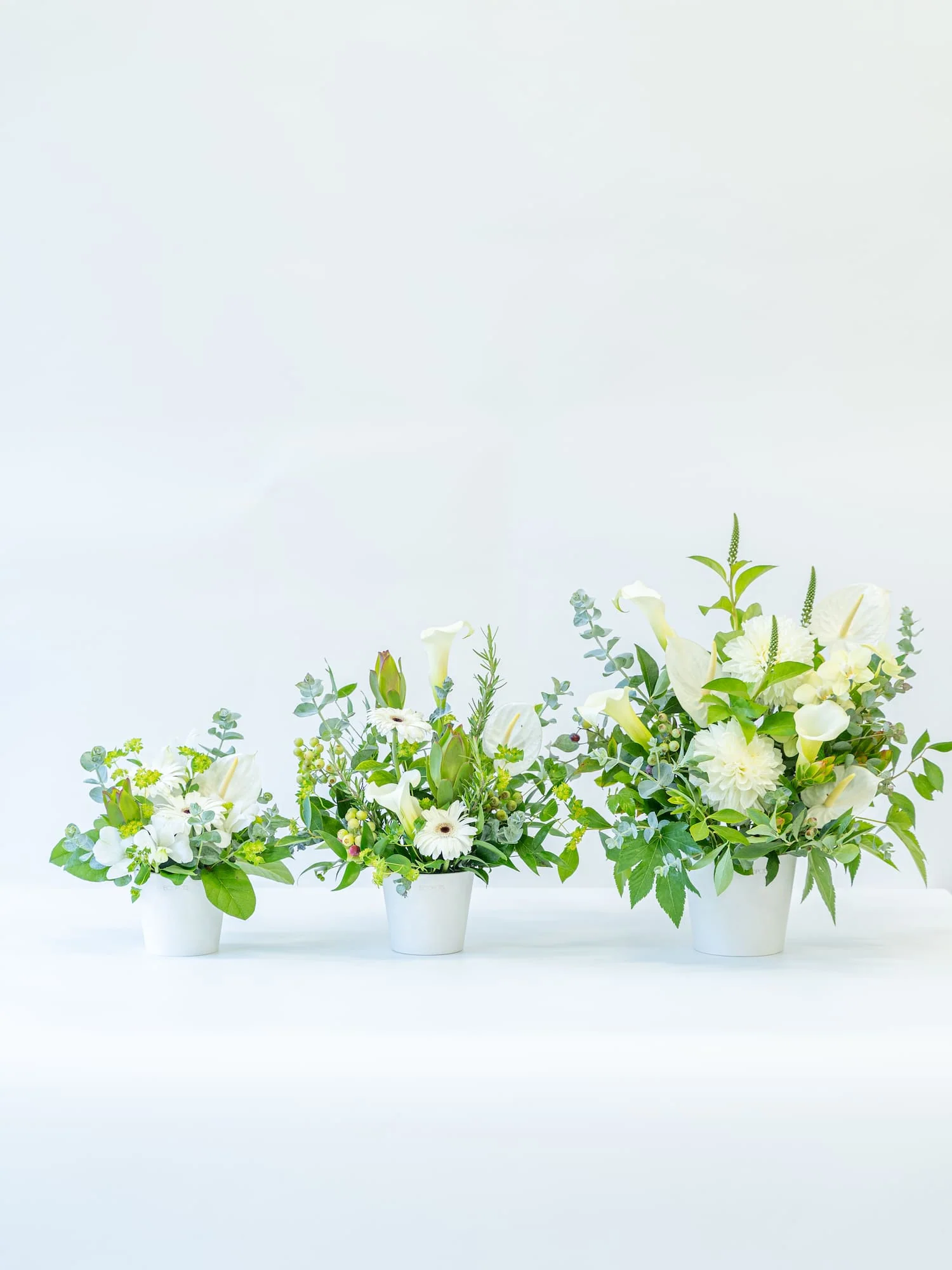 季節のおまかせ生花アレンジ L - グリーン&ホワイト - - Image 14