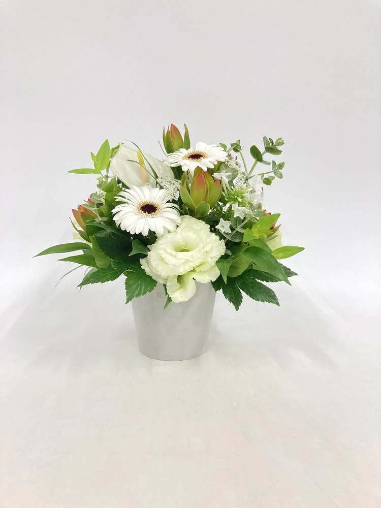 季節のおまかせ生花アレンジ S - グリーン&ホワイト - - Image 15