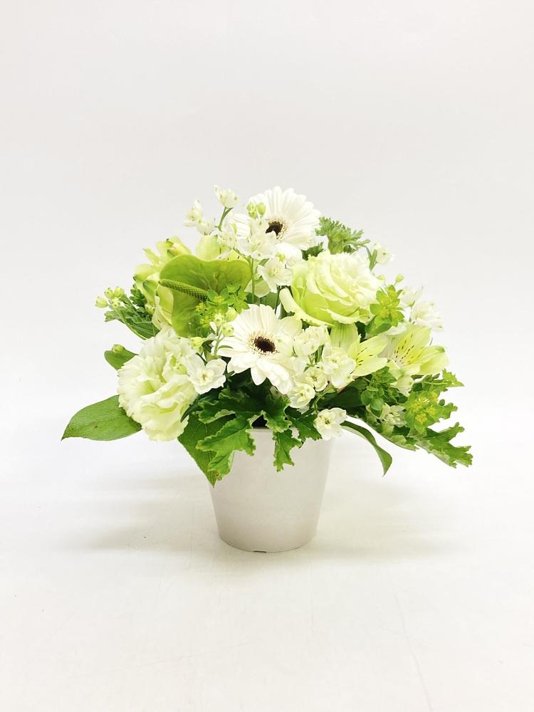 季節のおまかせ生花アレンジ S - グリーン&ホワイト - - Image 17