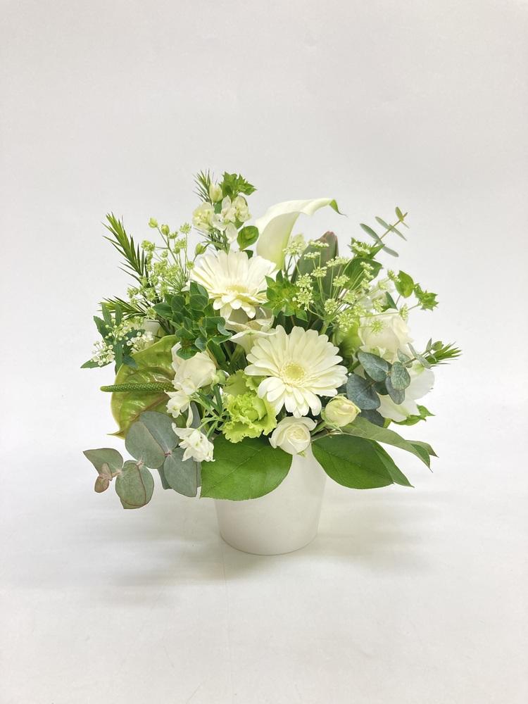 季節のおまかせ生花アレンジ S - グリーン&ホワイト - - Image 18