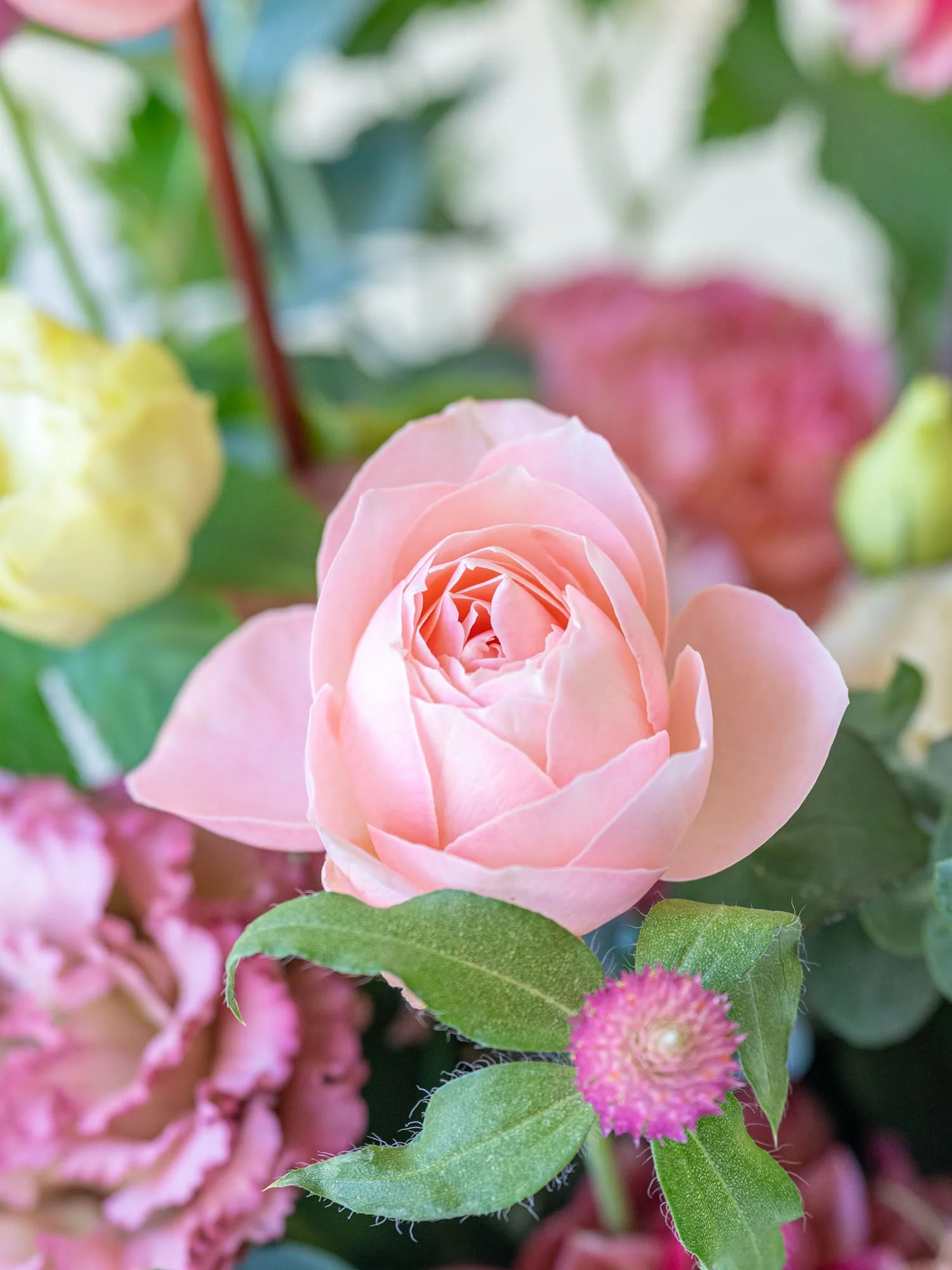 季節のおまかせ生花アレンジ L - ピンク - - Image 5