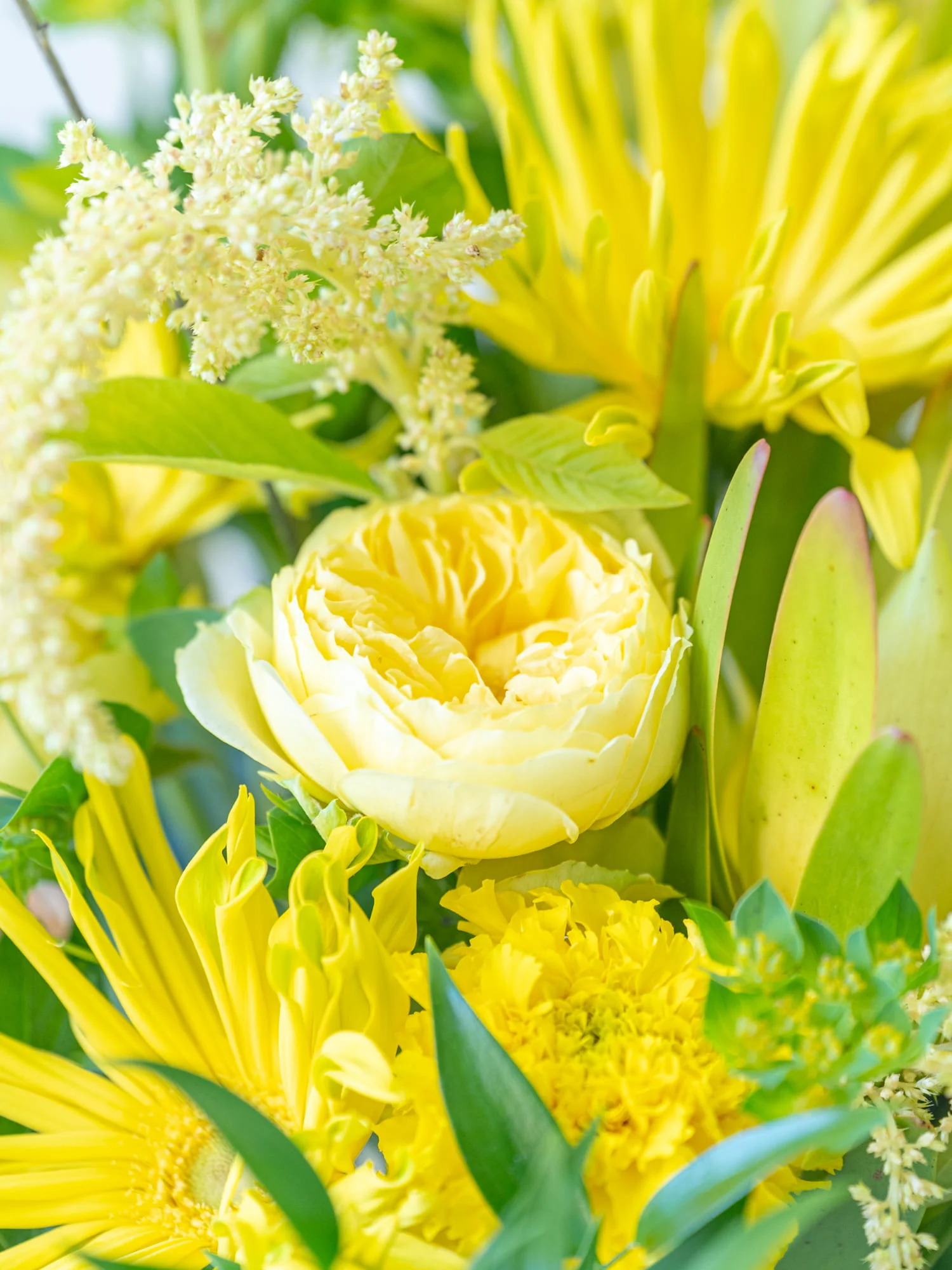 季節のおまかせ生花アレンジ L - イエロー - - Image 6