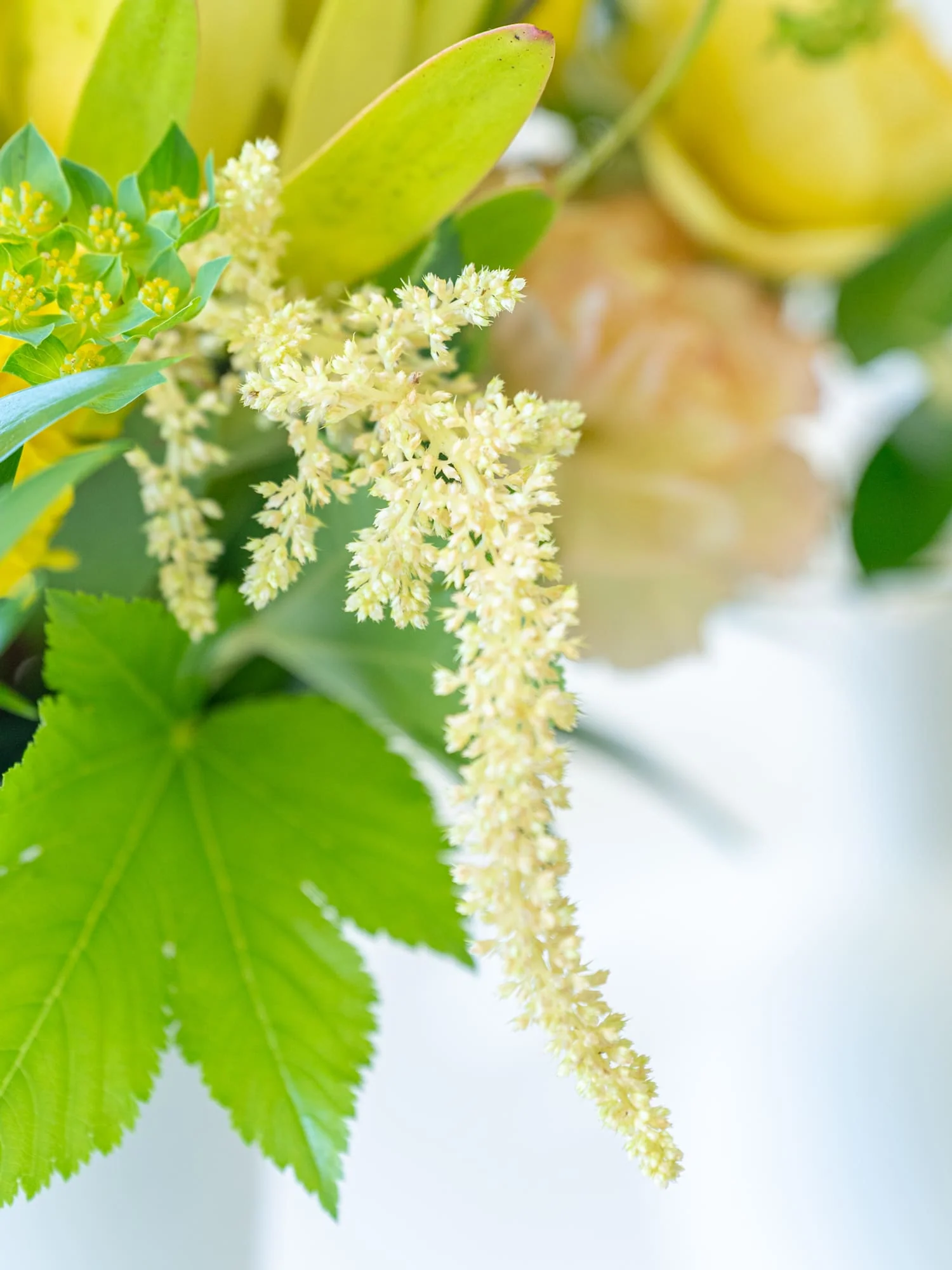 【誕生日ギフト】季節のおまかせ生花アレンジ L - イエロー - - Image 6