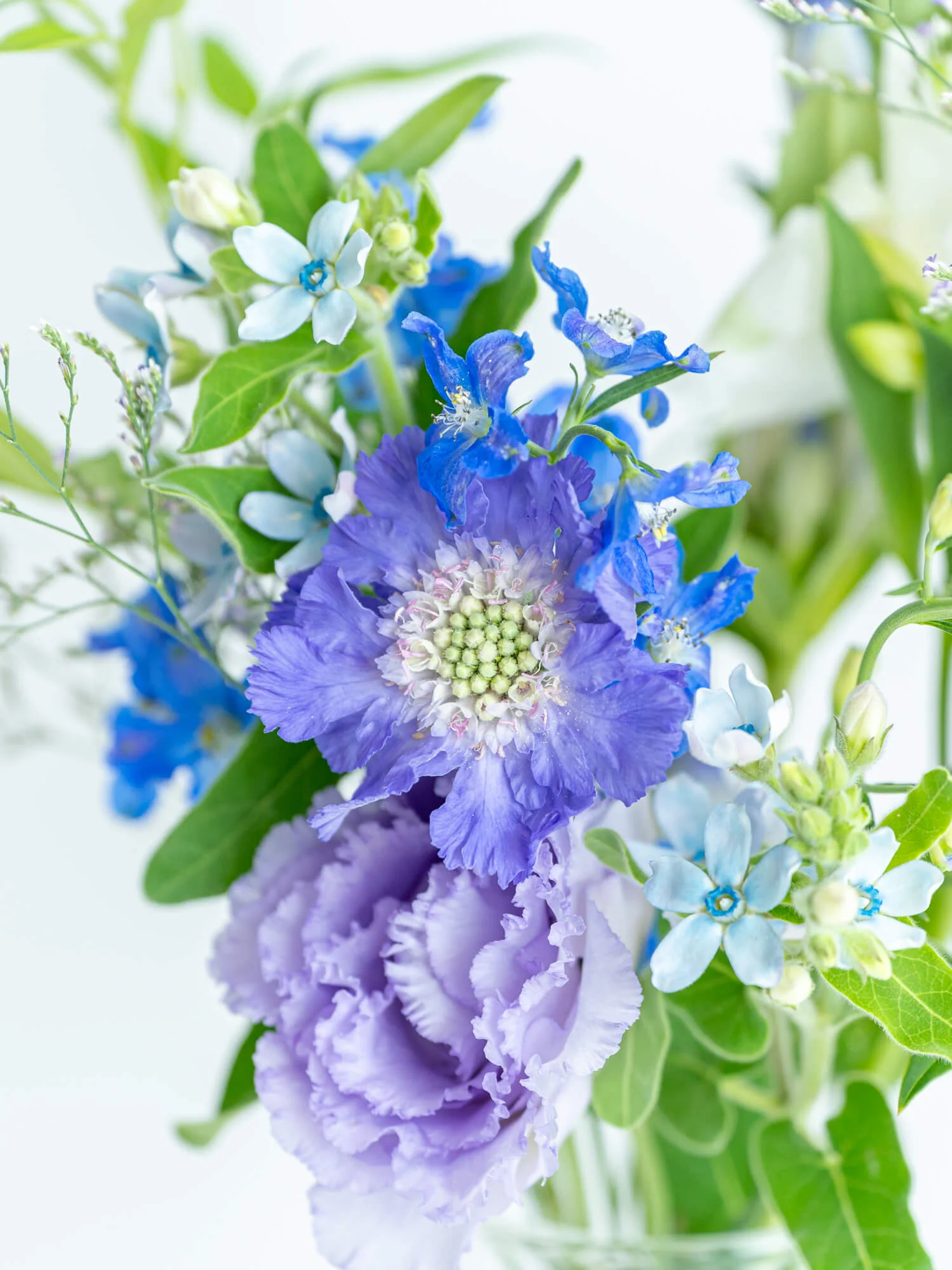 【ギフティング用】お花-ミディアム- - Image 8
