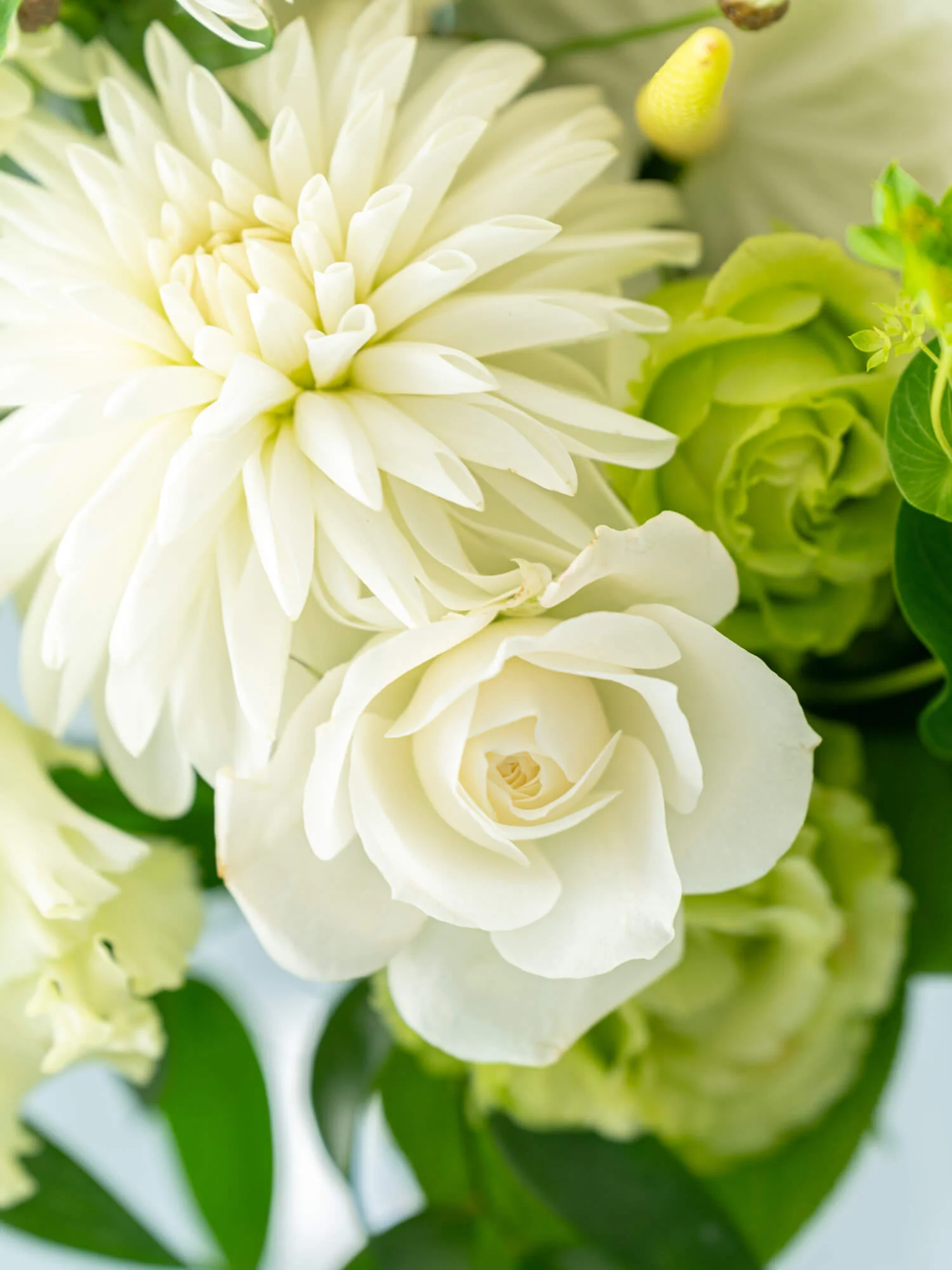 【お供え用】季節の花束 M - ホワイト - - Image 21