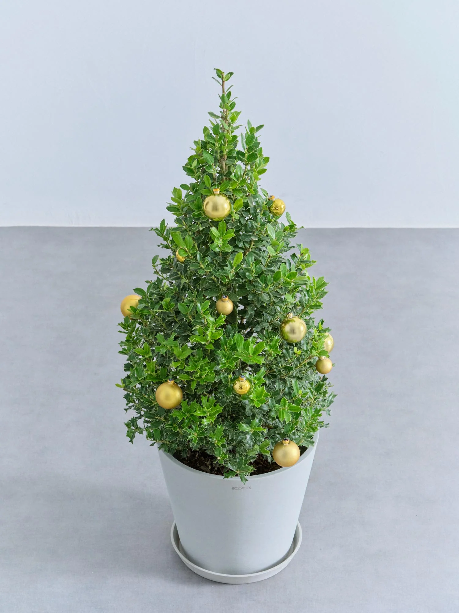 【クリスマス】ひいらぎツリー -ゴールド- M - Image 12