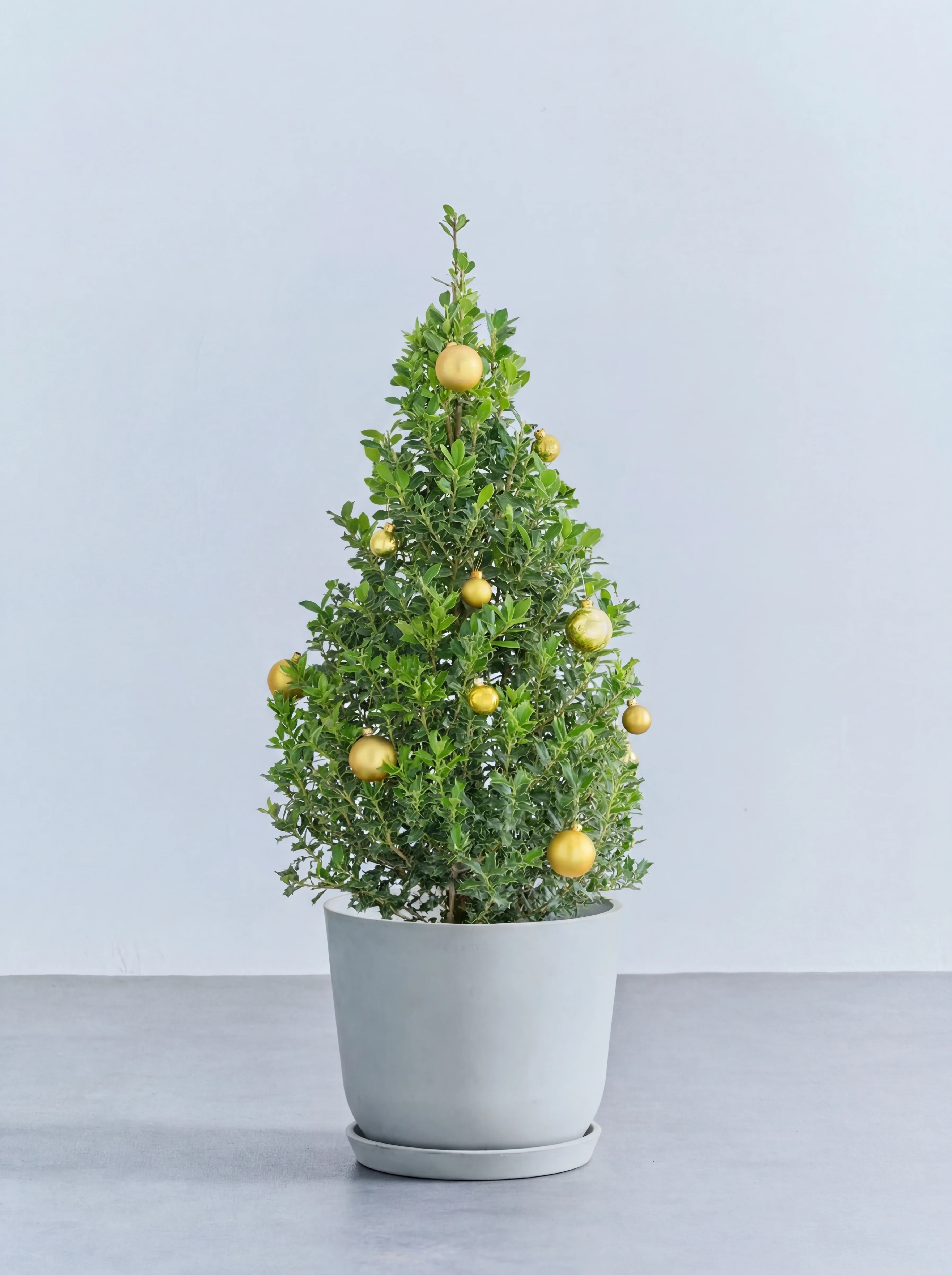 【クリスマス】ひいらぎツリー -ゴールド- M - Image 4