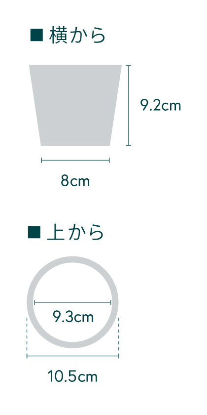 ピレア・ペペロミオイデス Table-S - Image 34