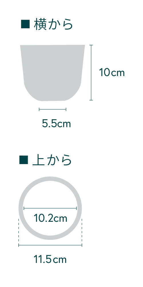ピレア・ペペロミオイデス Table-S - Image 35