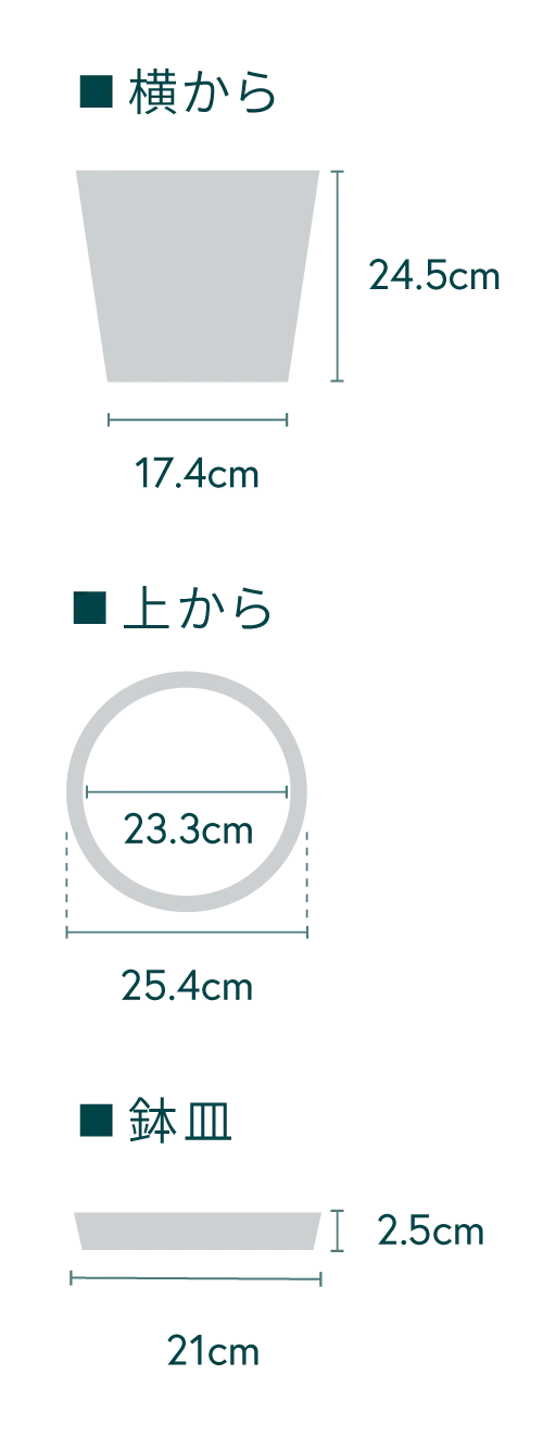 エバーフレッシュ M - Image 22