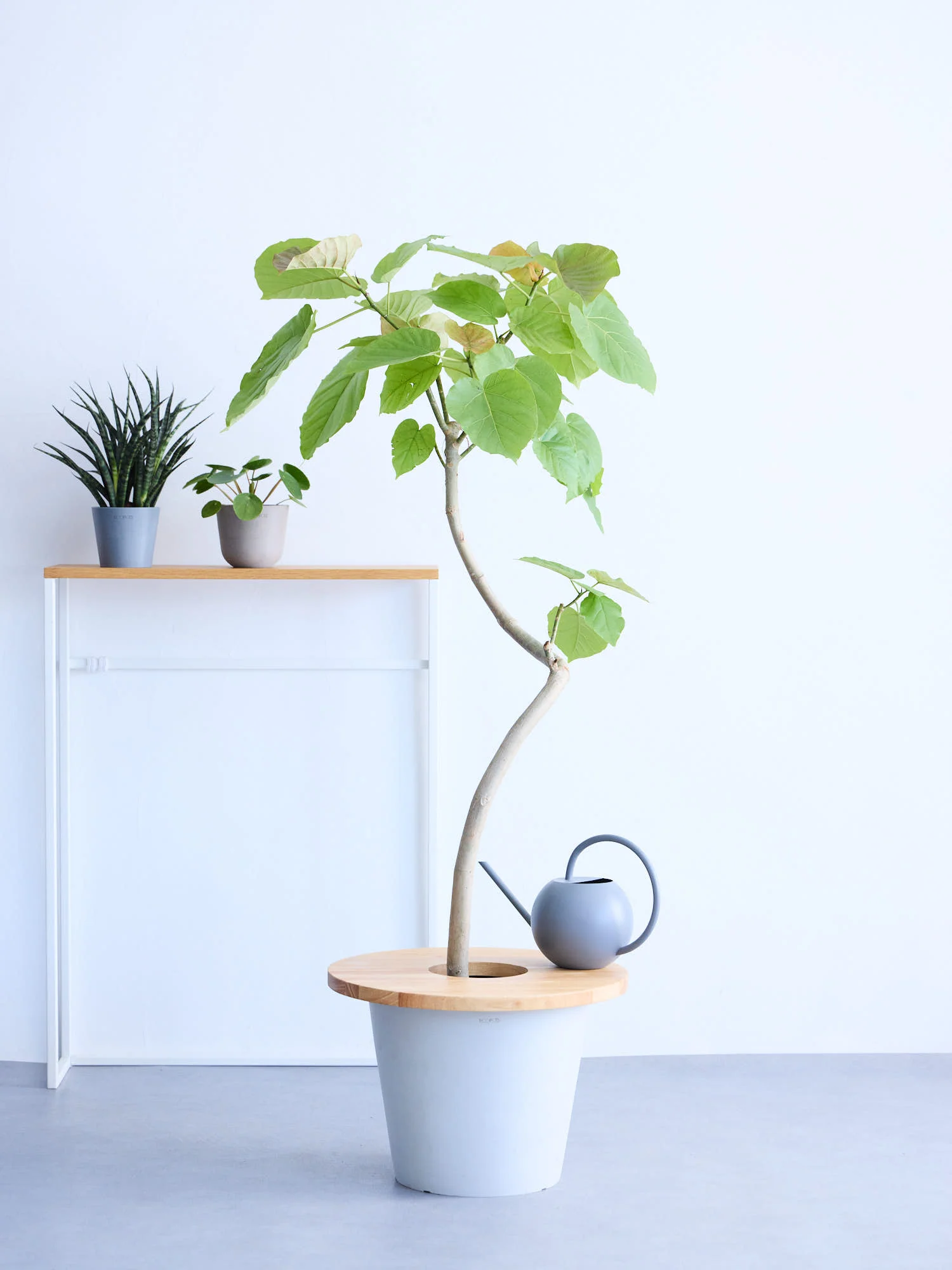 ポットテーブル ラバーウッド 40cm ナチュラル - Image 4