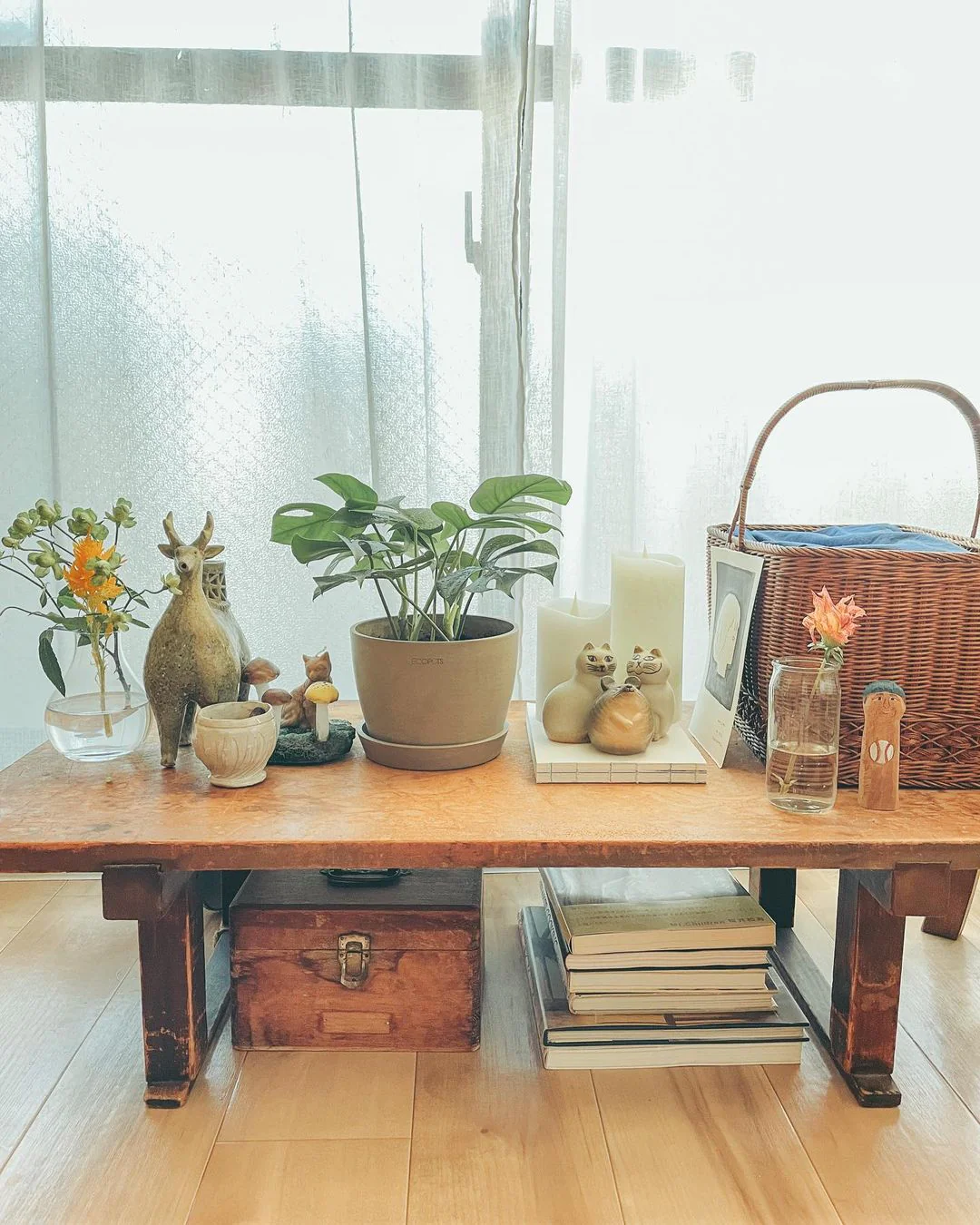 ヒメモンステラ Table-L - Image 18
