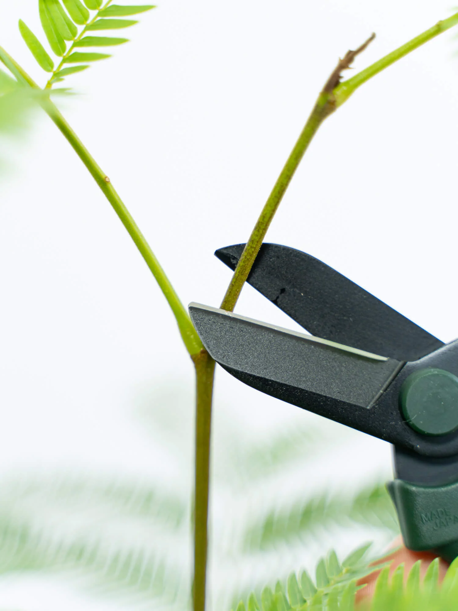 Sakagen Flower Shears - Image 9
