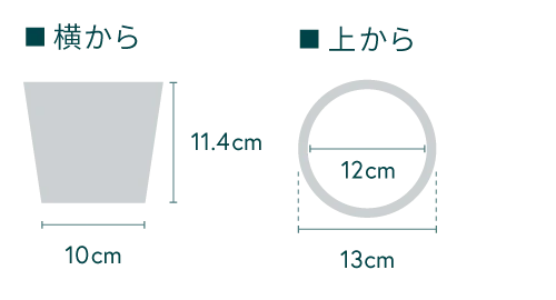 スキンダプサス Table-M - Image 14