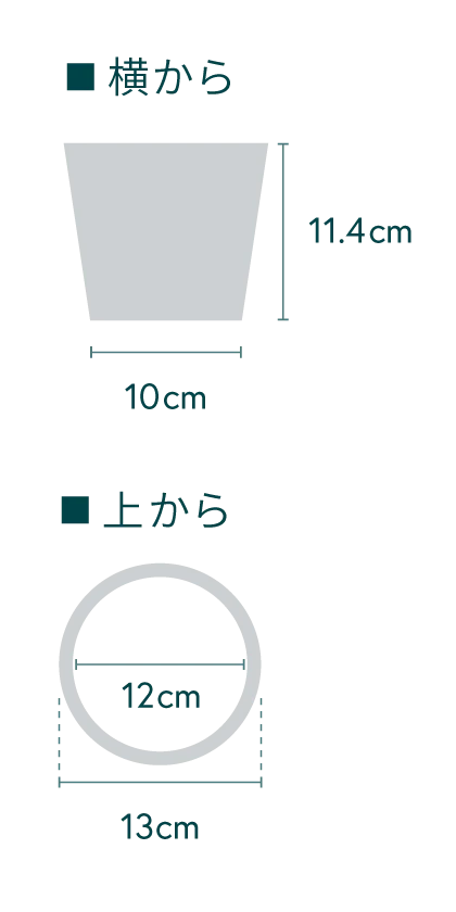 スキンダプサス Table-M - Image 15