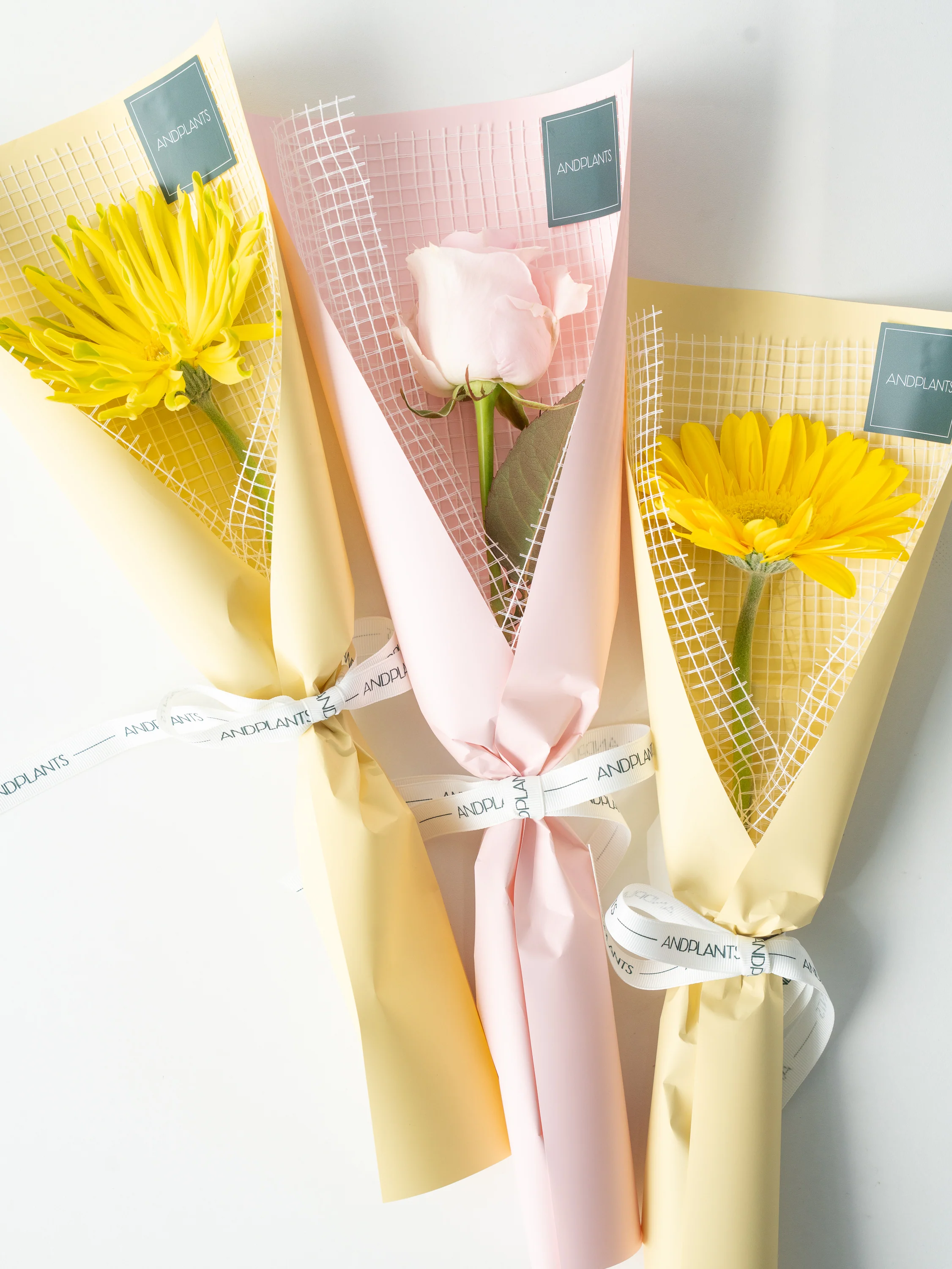【送別・お祝いなどに】生花1輪ラッピング - Rose × Pink 5束セット - - Image 9