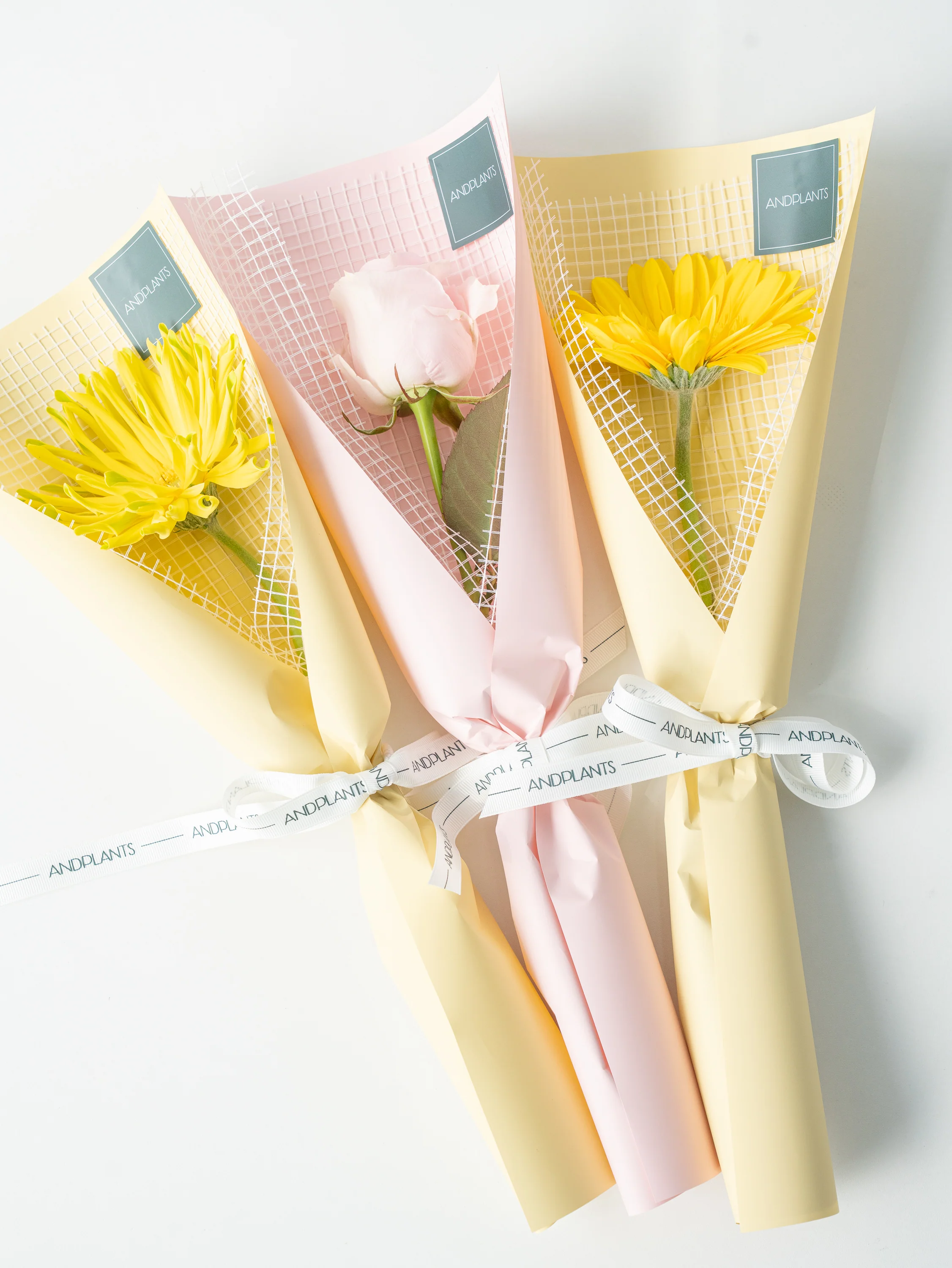 【送別・お祝いなどに】生花1輪ラッピング - Gerbera × Yellow 5束セット - - Image 8