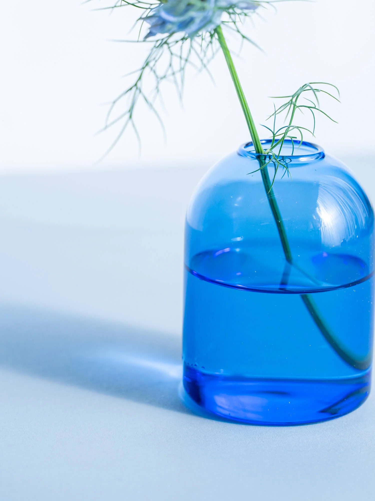 TWO TONE VASE -circle pinkblue- - Image 4