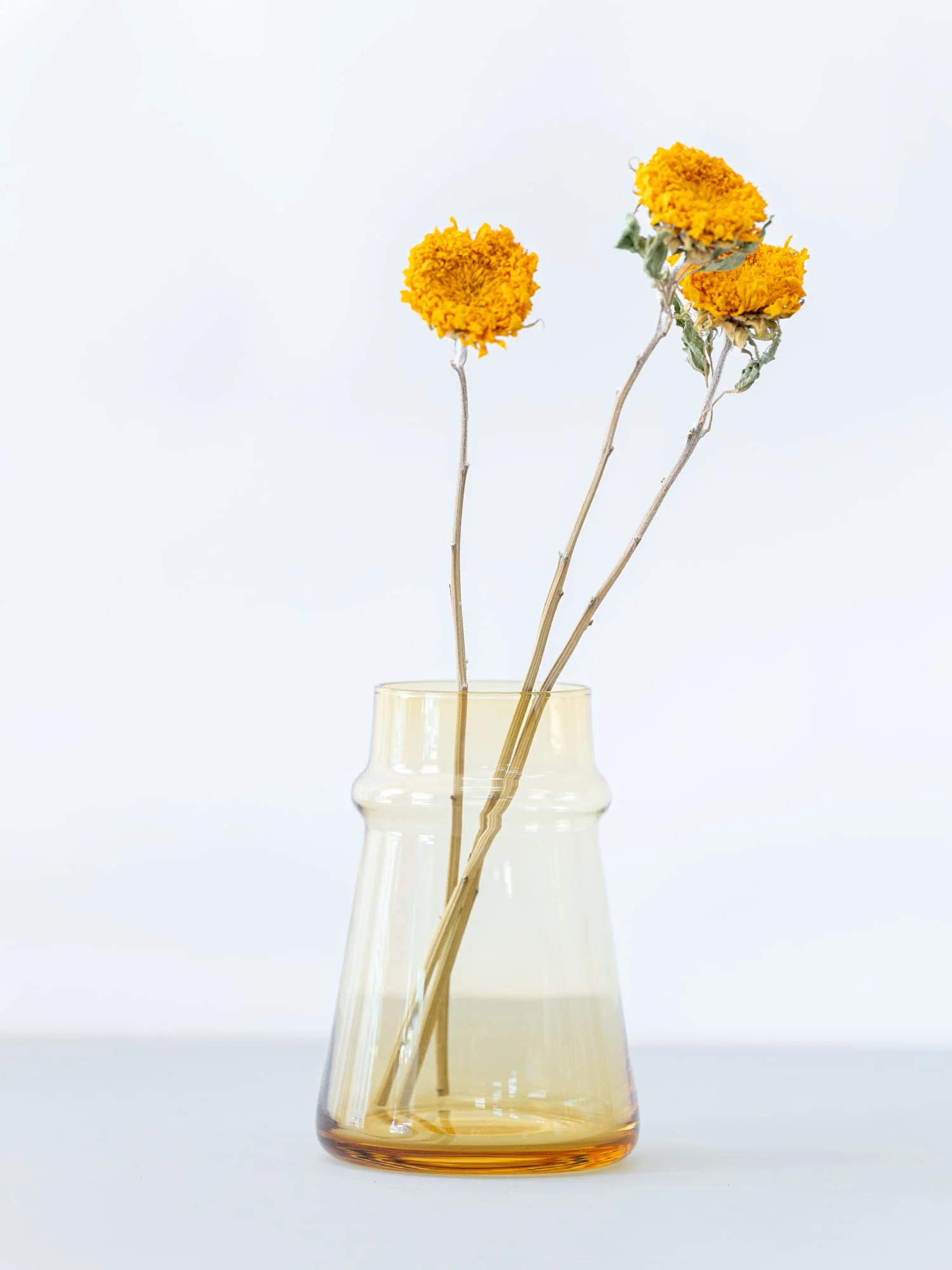Ebony Amber - Image 8